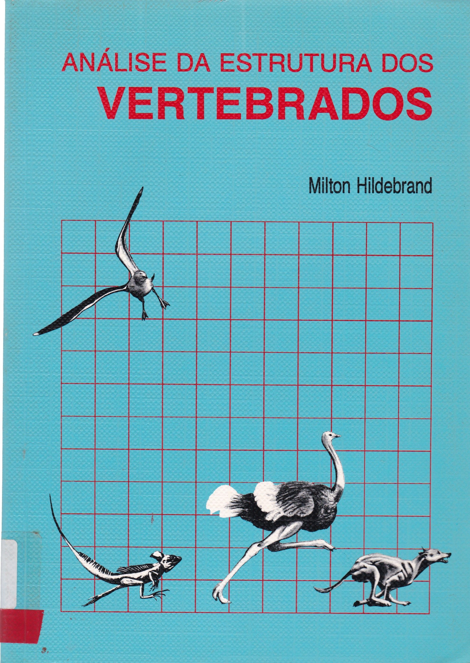ANÁLISE DA ESTRUTURA DOS VERTEBRADOS