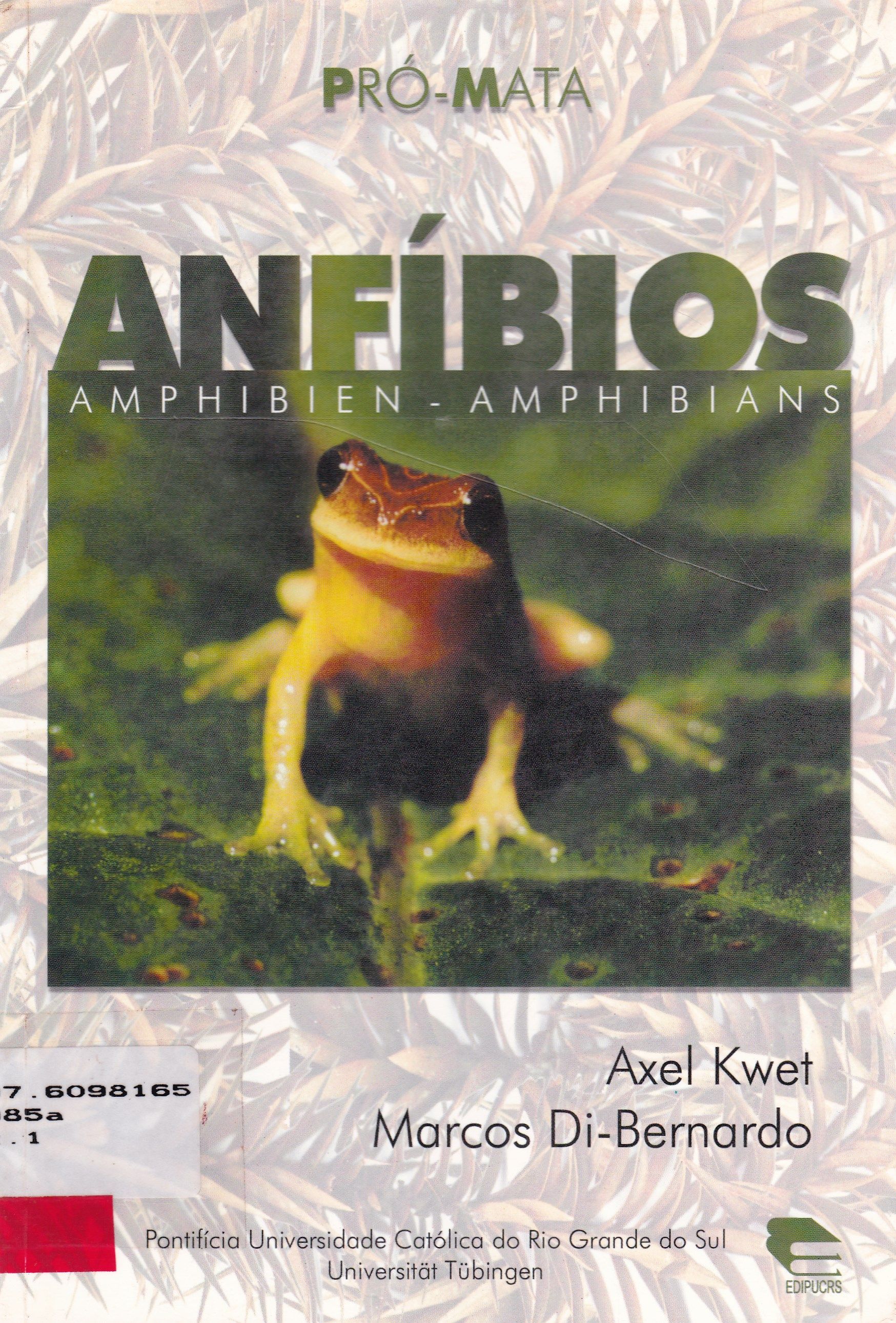 ANFÍBIOS, AMPLHIBIEN, AMPLHIBIANS