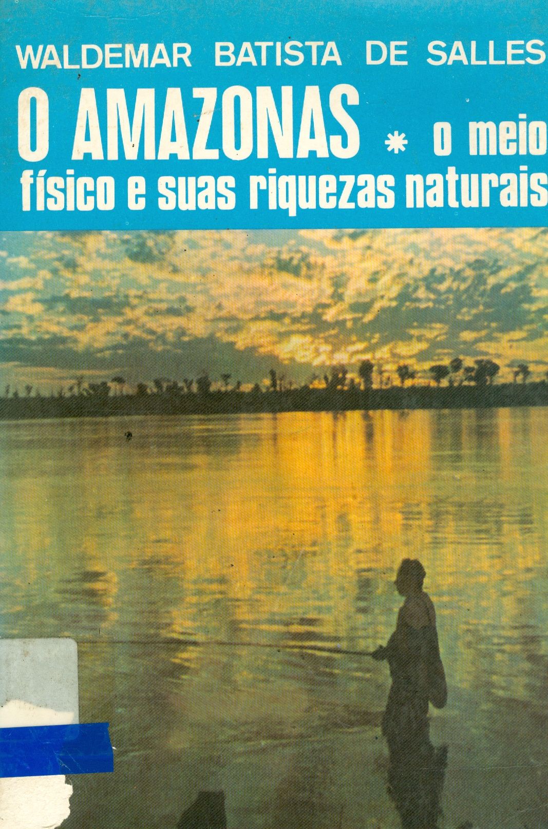 O AMAZONAS: O MEIO FÍSICO E SUAS RIQUEZAS NATURAIS 