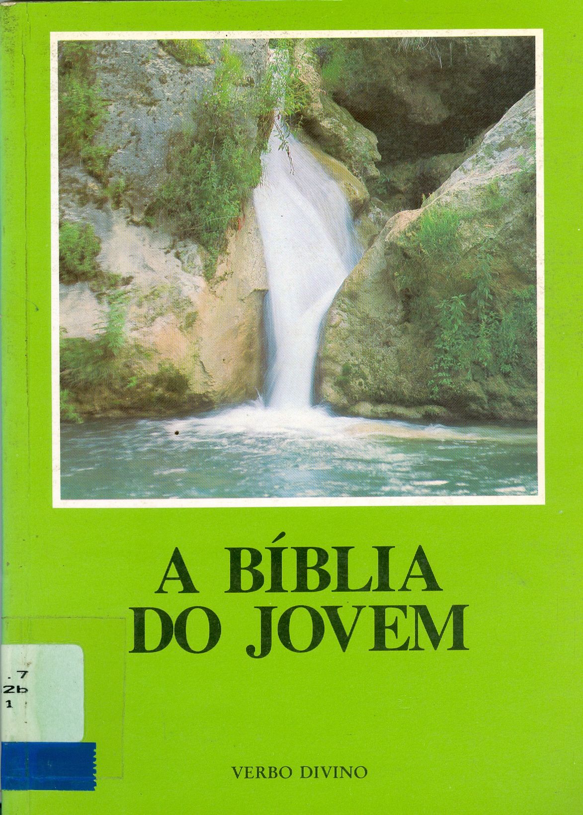 A BÍBLIA DO JOVEM: SELEÇÃO DE TEXTOS BÍBLICOS