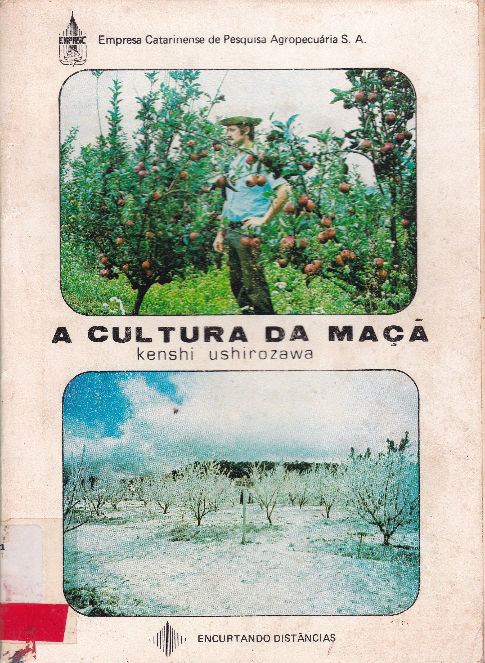 CULTURA DA MAÇÃ: A EXPERIÊNCIA CATARINENSE