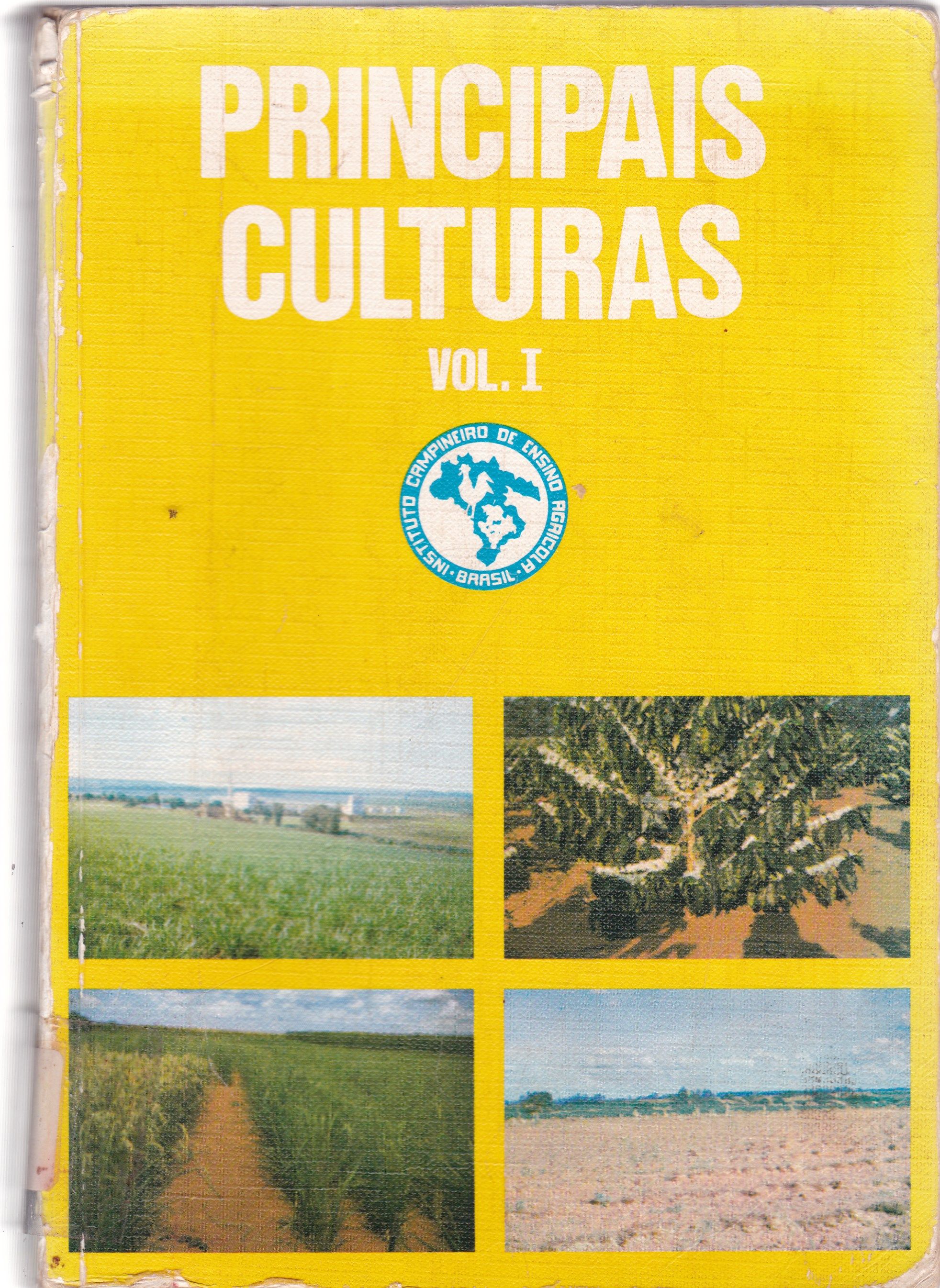 PRINCIPAIS CULTURAS - V. 1