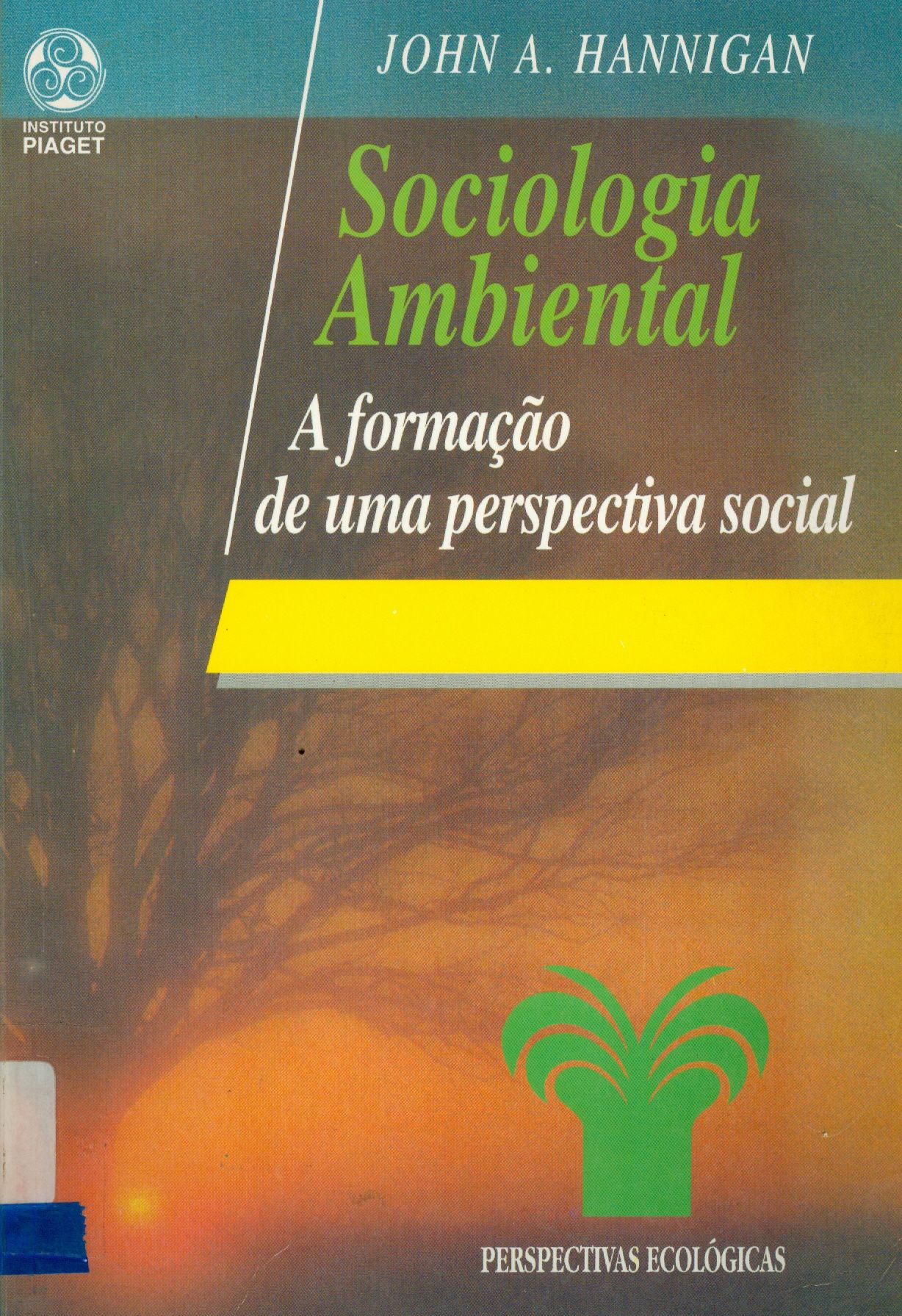 SOCIOLOGIA AMBIENTAL: A FORMAÇÃO DE UMA PERSPECTIVA SOCIAL