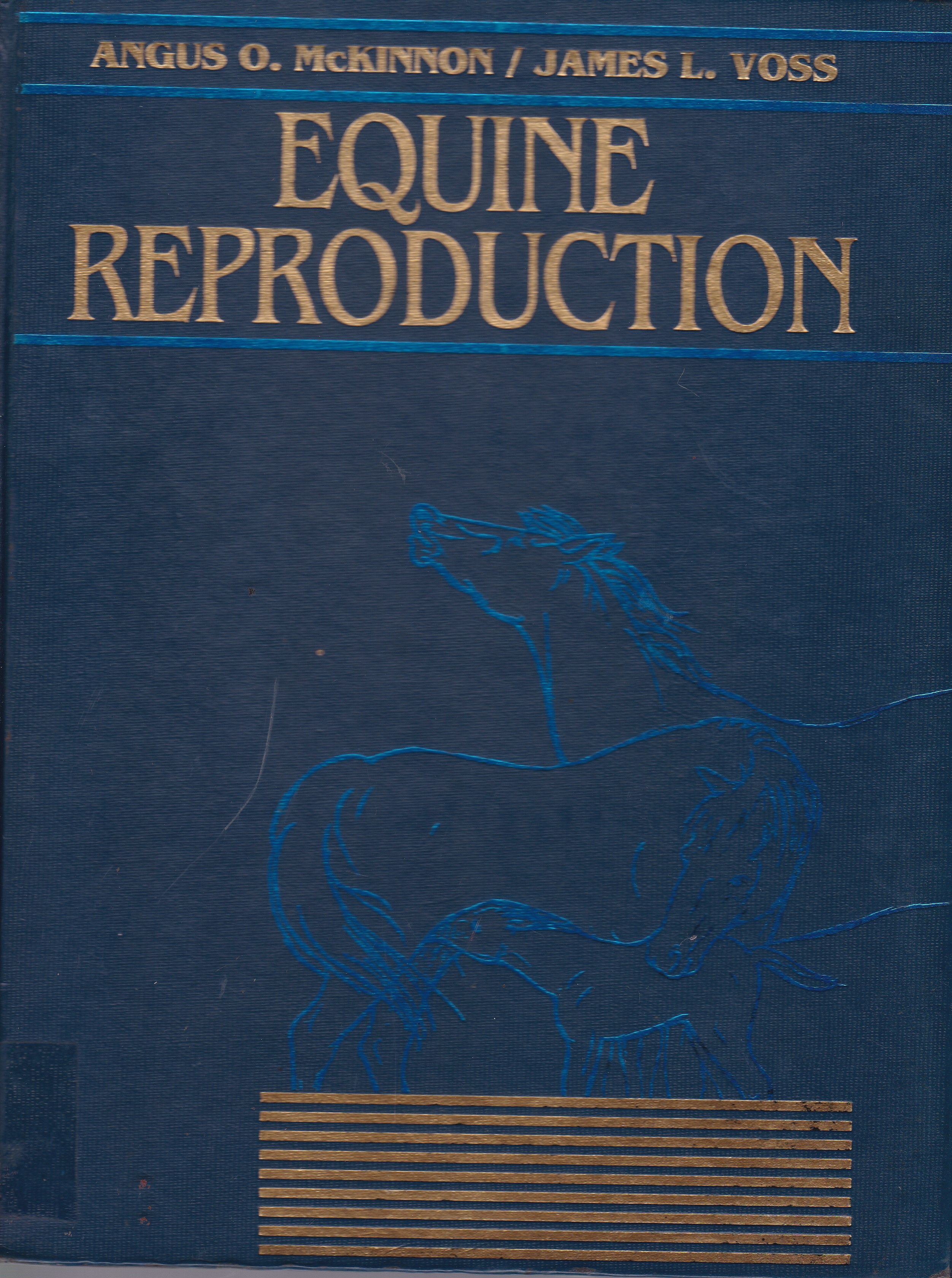 EQUINE REPRODUCTIÓN