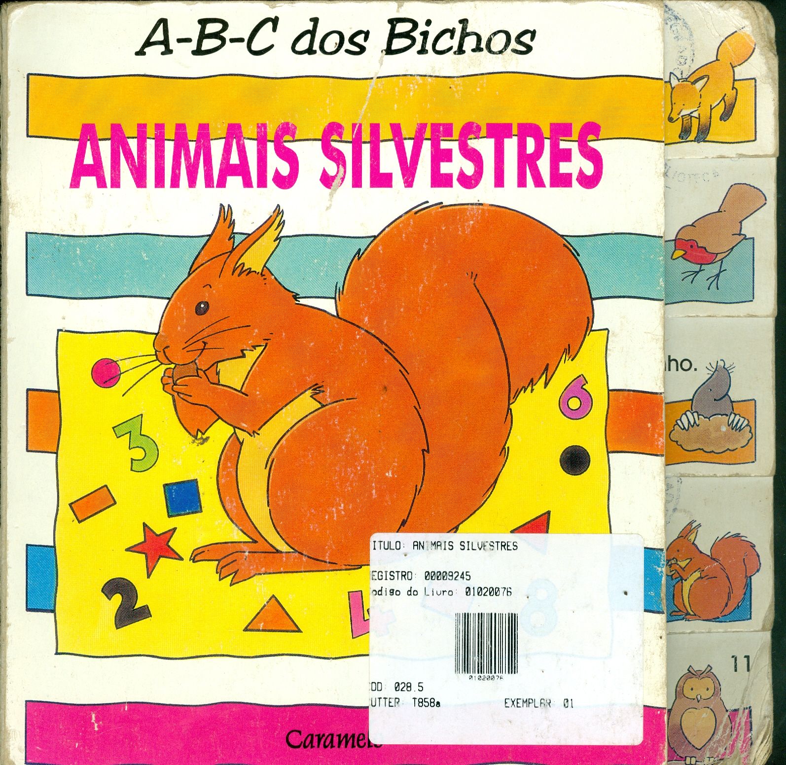 ANIMAIS SILVESTRES - COLEÇÃO