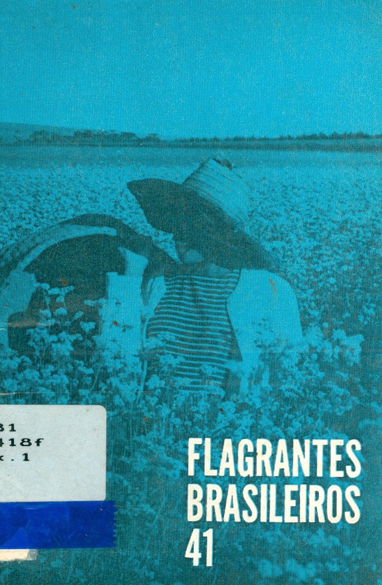 FLAGRANTES BRASILEIROS - V. 41