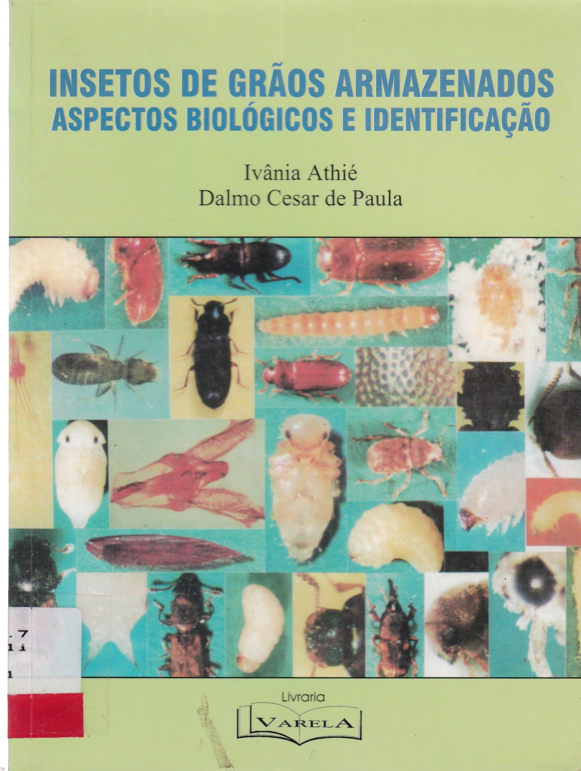 INSETOS DE GRÃOS ARMAZENADOS: ASPECTOS BIOLÓGICOS E IDENTIFICAÇÃO