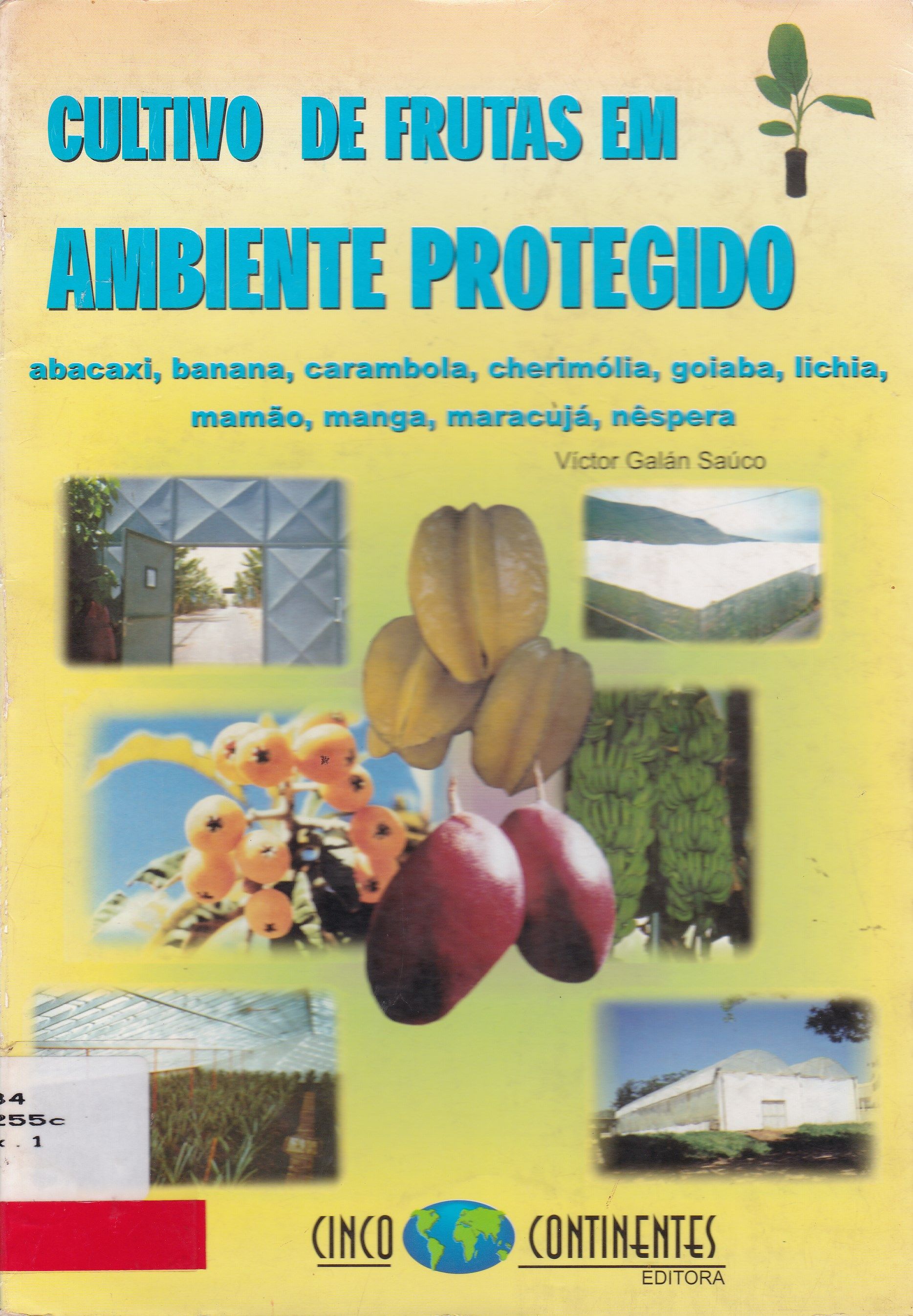 FRUTAS: PRODUTOS EM AMBIENTE PROTEGIDO: ABACAXI, BANANA, CARAMBOLA, CHERIMOLIA, GOIABA, LICHIA, MAMÃO, MANGA, MARACUJÁ, NESPERA