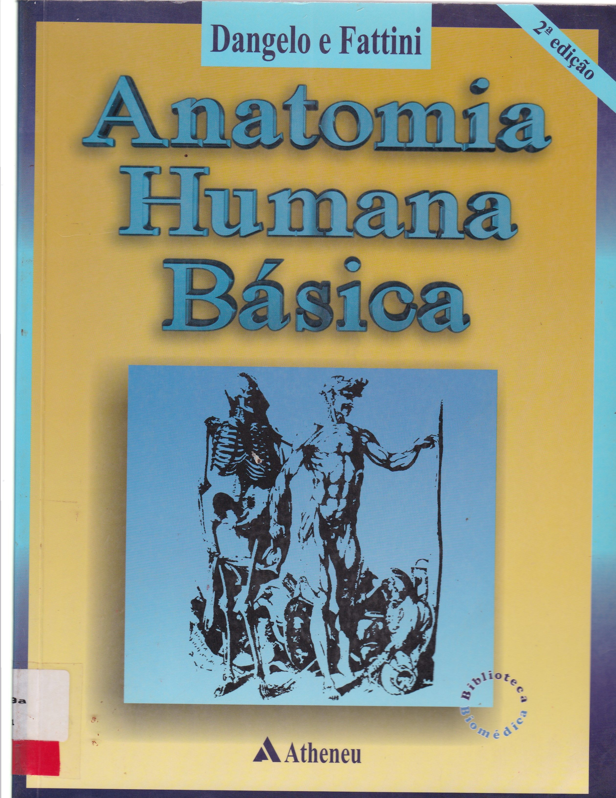 ANATOMIA HUMANA BÁSICA