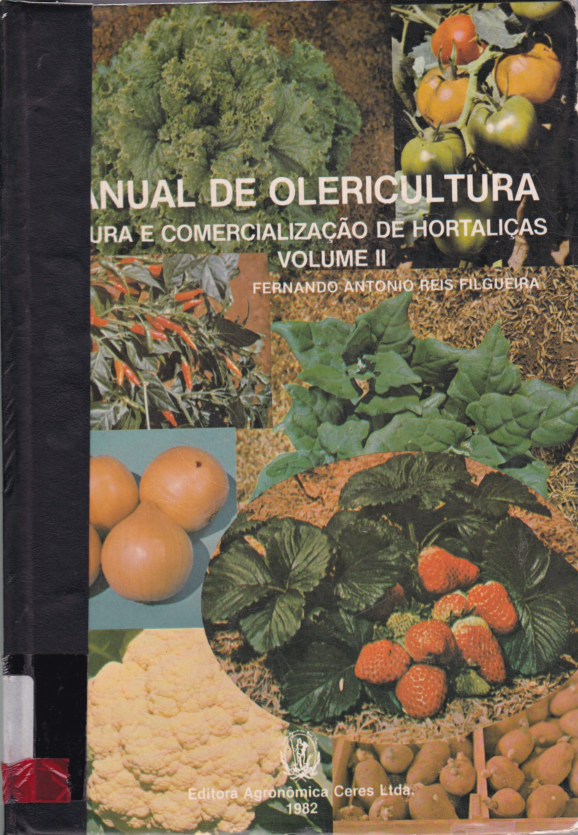 NOVO MANUAL DE OLERICULTURA: AGROTECNOLOGIA MODERNA NA PRODUÇÃO E COMERCIALIZAÇÃO DE HORTALIÇAS