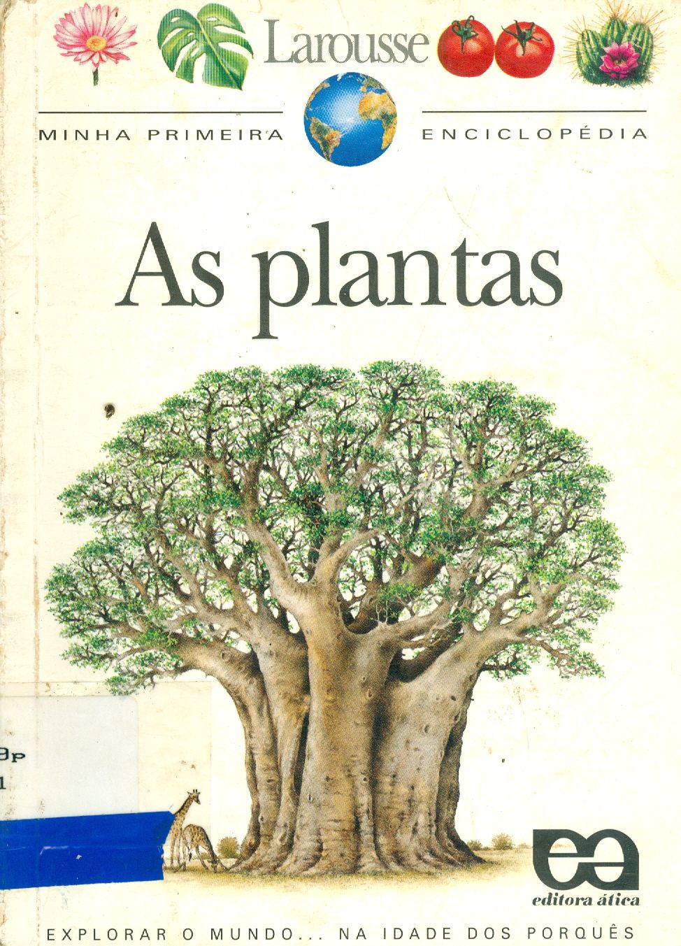 AS PLANTAS