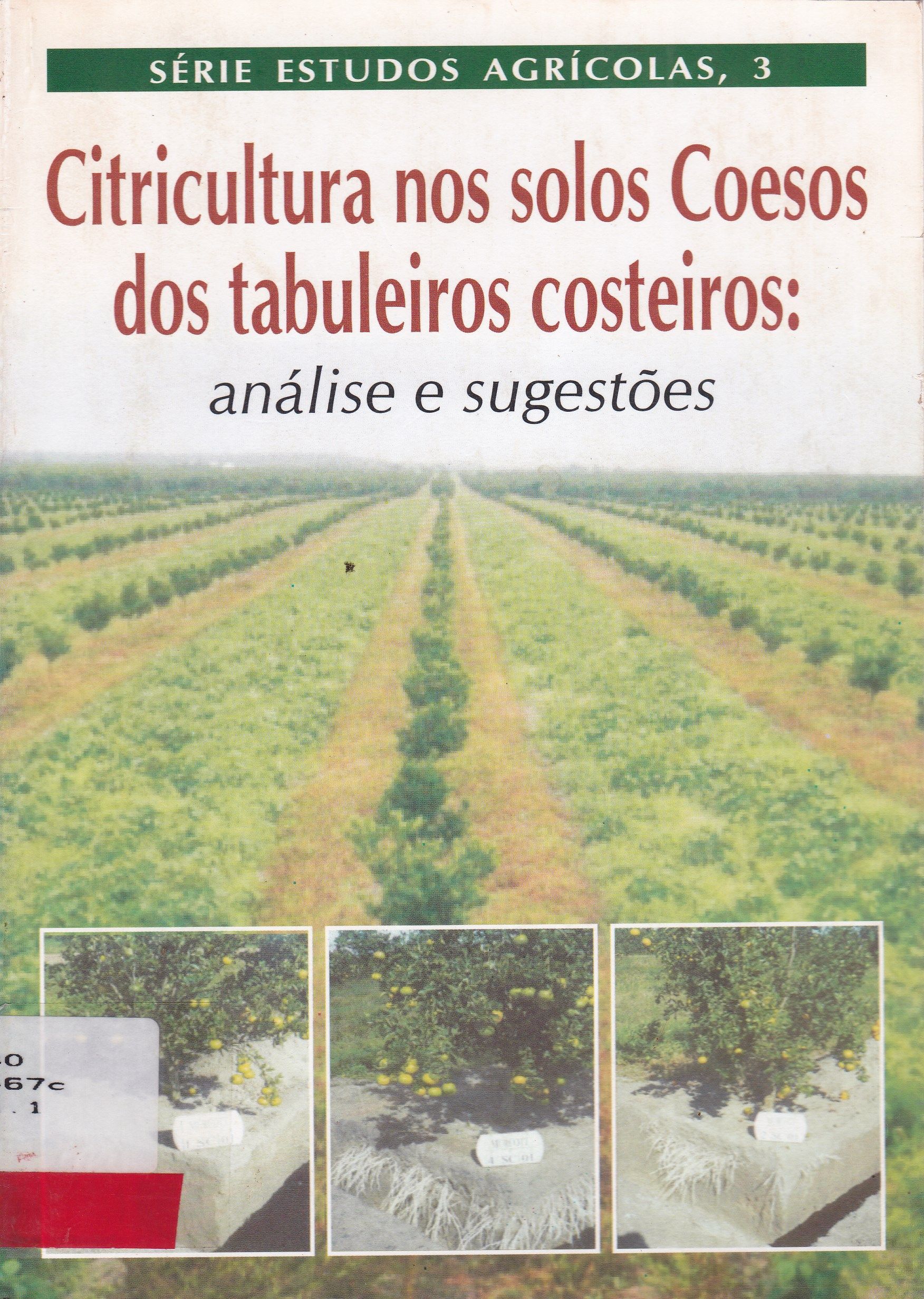 CITRICULTURA NOS SOLOS COESOS DOS TABULEIROS COSTEIROS: ANÁLISE E SUGESTÕES