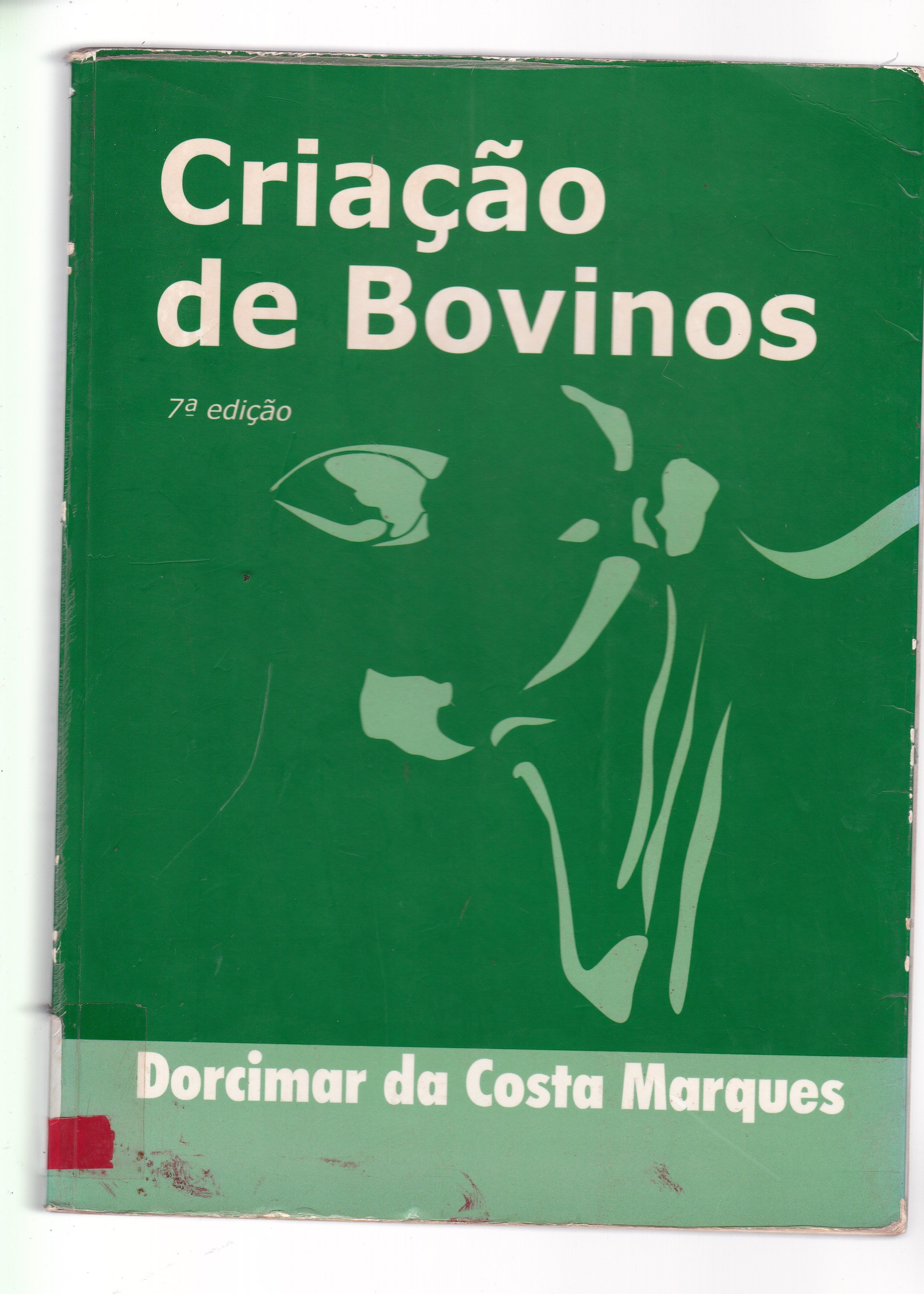 CRIAÇÃO DE BOVINOS 