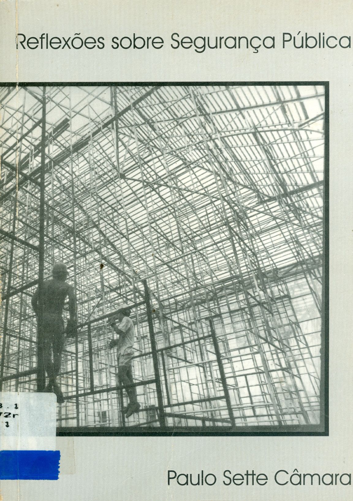 REFLEXÕES SOBRE SEGURANÇA PÚBLICA