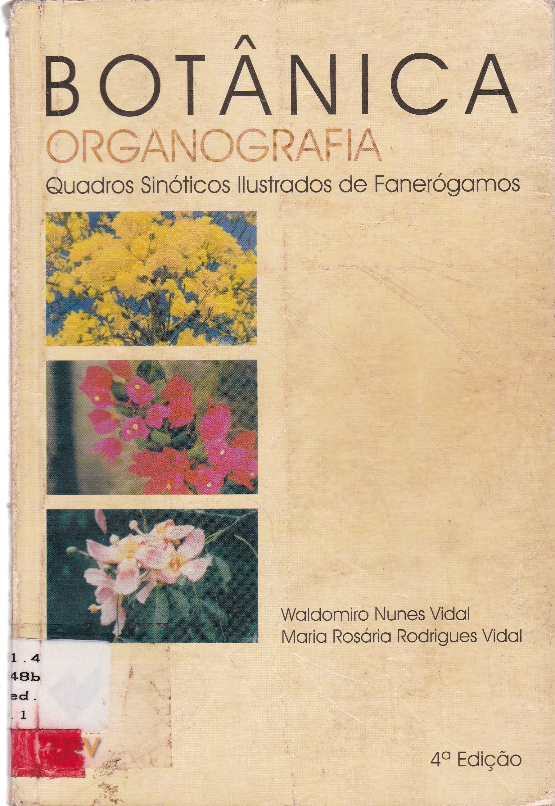 BOTÂNICA: ORGANOGRAFIA: QUADROS SINÓTICOS ILUSTRADOS DE FANERÓGAMOS