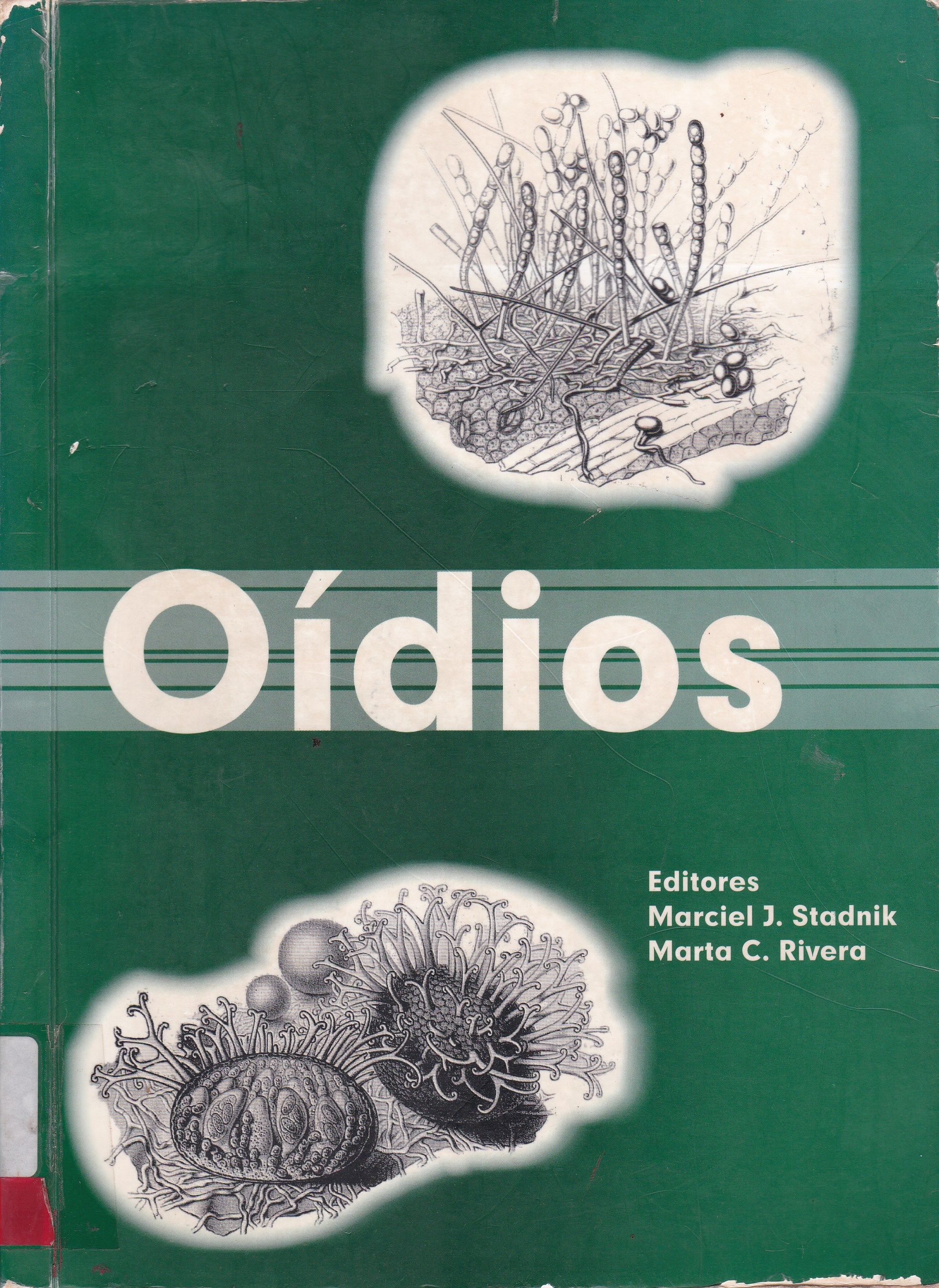 OÍDIOS