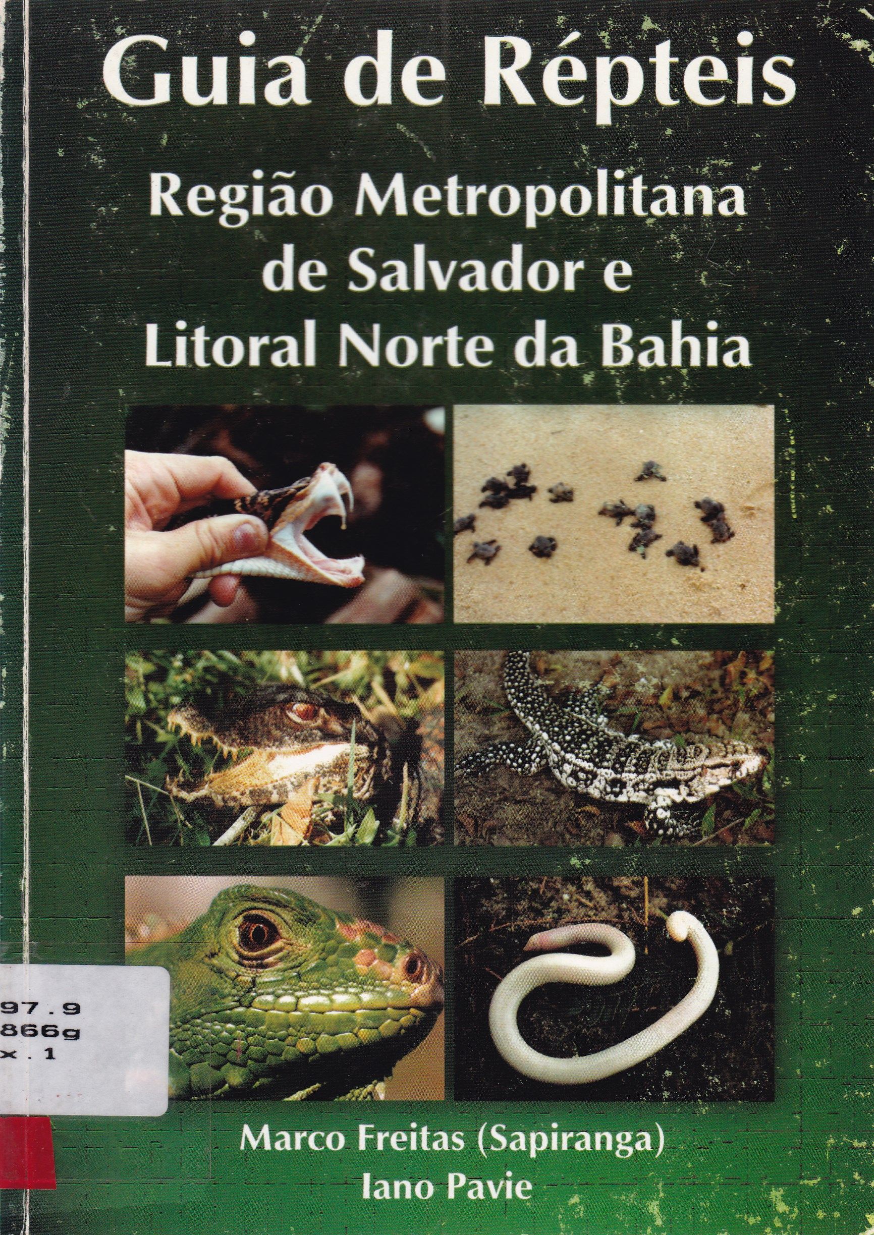 GUIA DE RÉPTEIS DA REGIÃO METROPOLITANA DE SALVADOR E LITORAL NORTE DA BAHIA