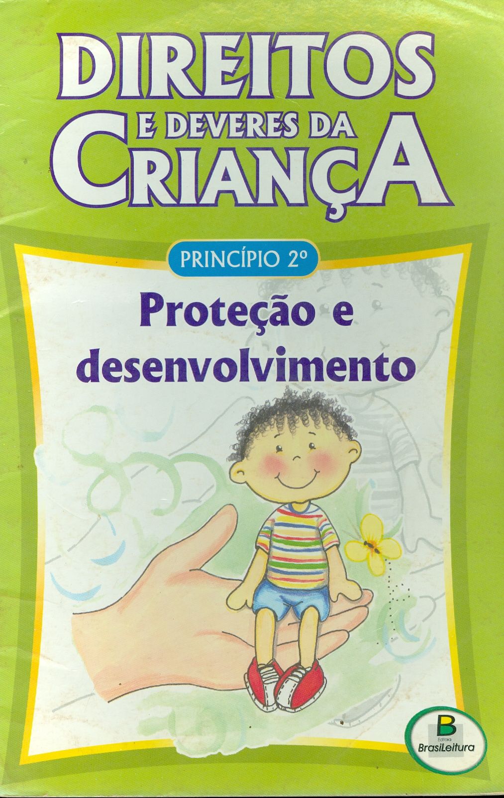 DIREITOS E DEVERES DA CRIANÇA: PROTEÇÃO E DESENVOLVIMENTO - PRÍNCIPIO 2.