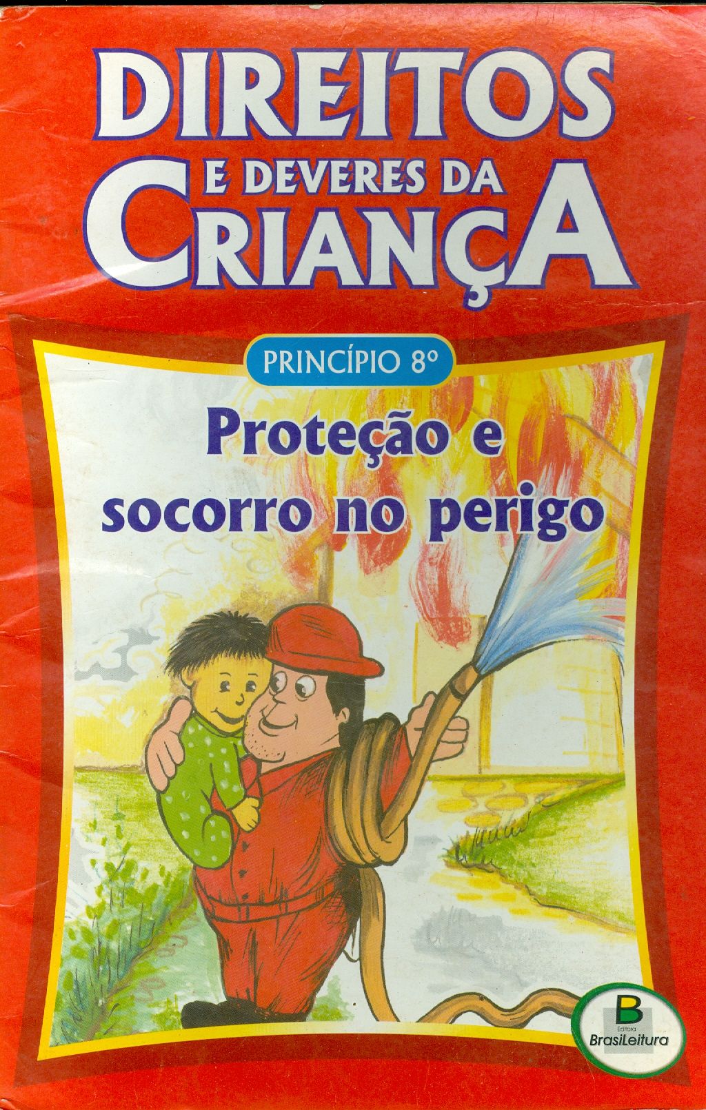 DIREITOS E DEVERES DA CRIANÇA: PROTEÇÃO E SOCORRO NO PERIGO - PRÍNCIPIO 8.