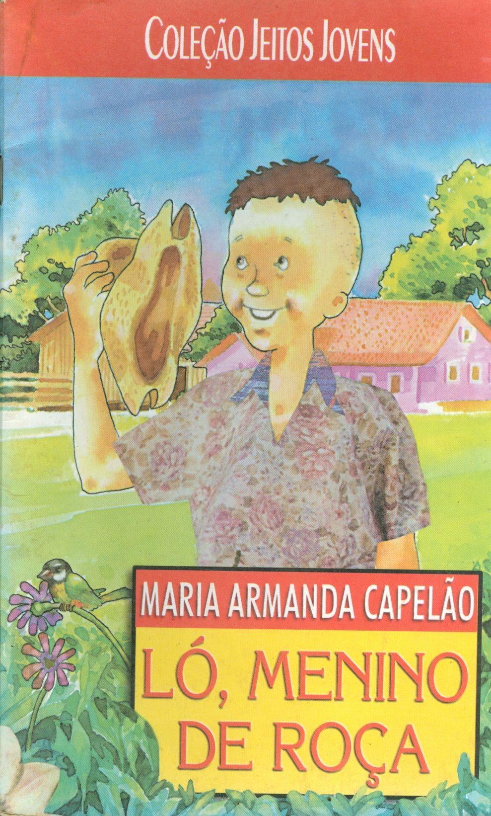 LO, MENINO DE ROÇA