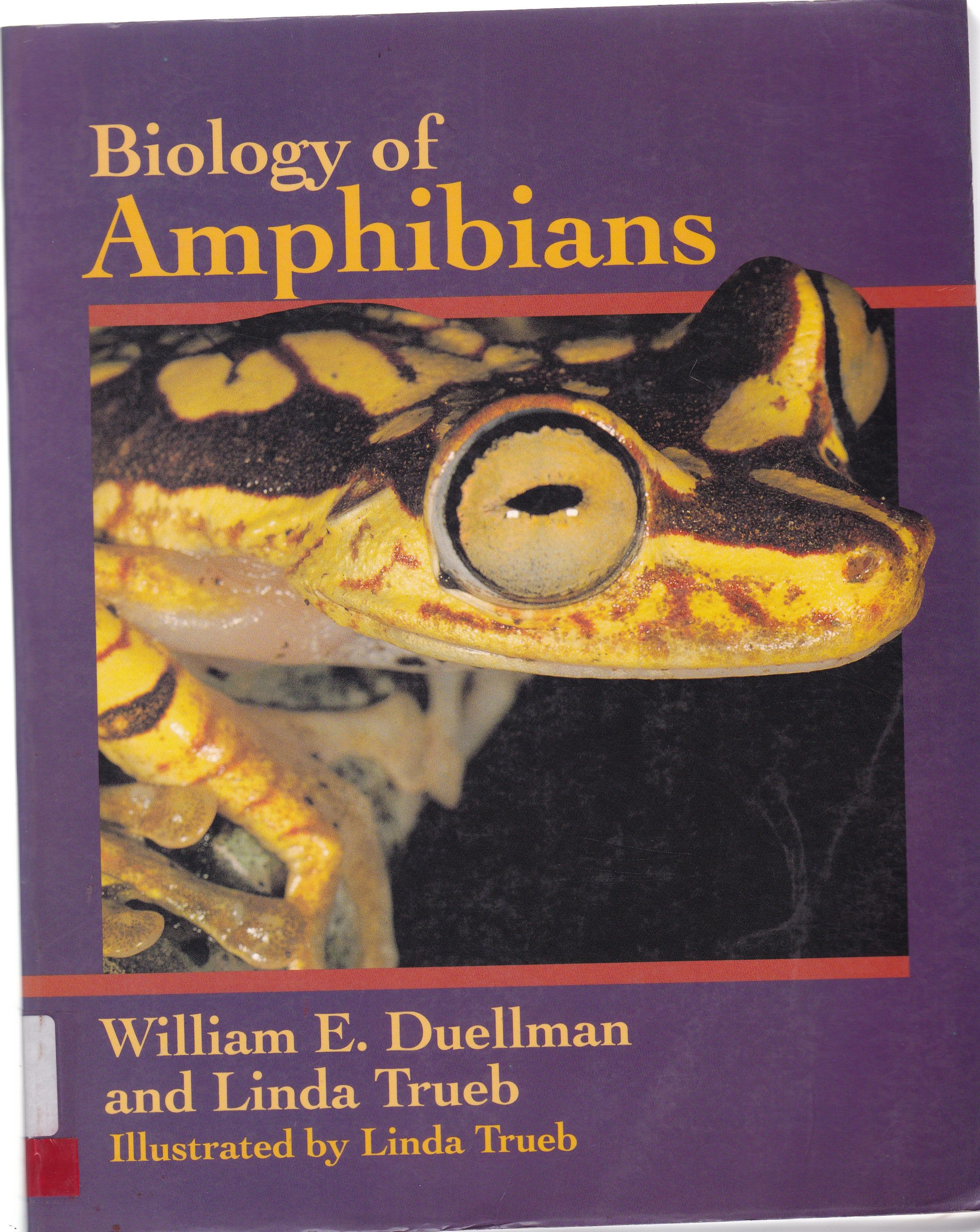 BIOLOGY OF AMPHIBIANS