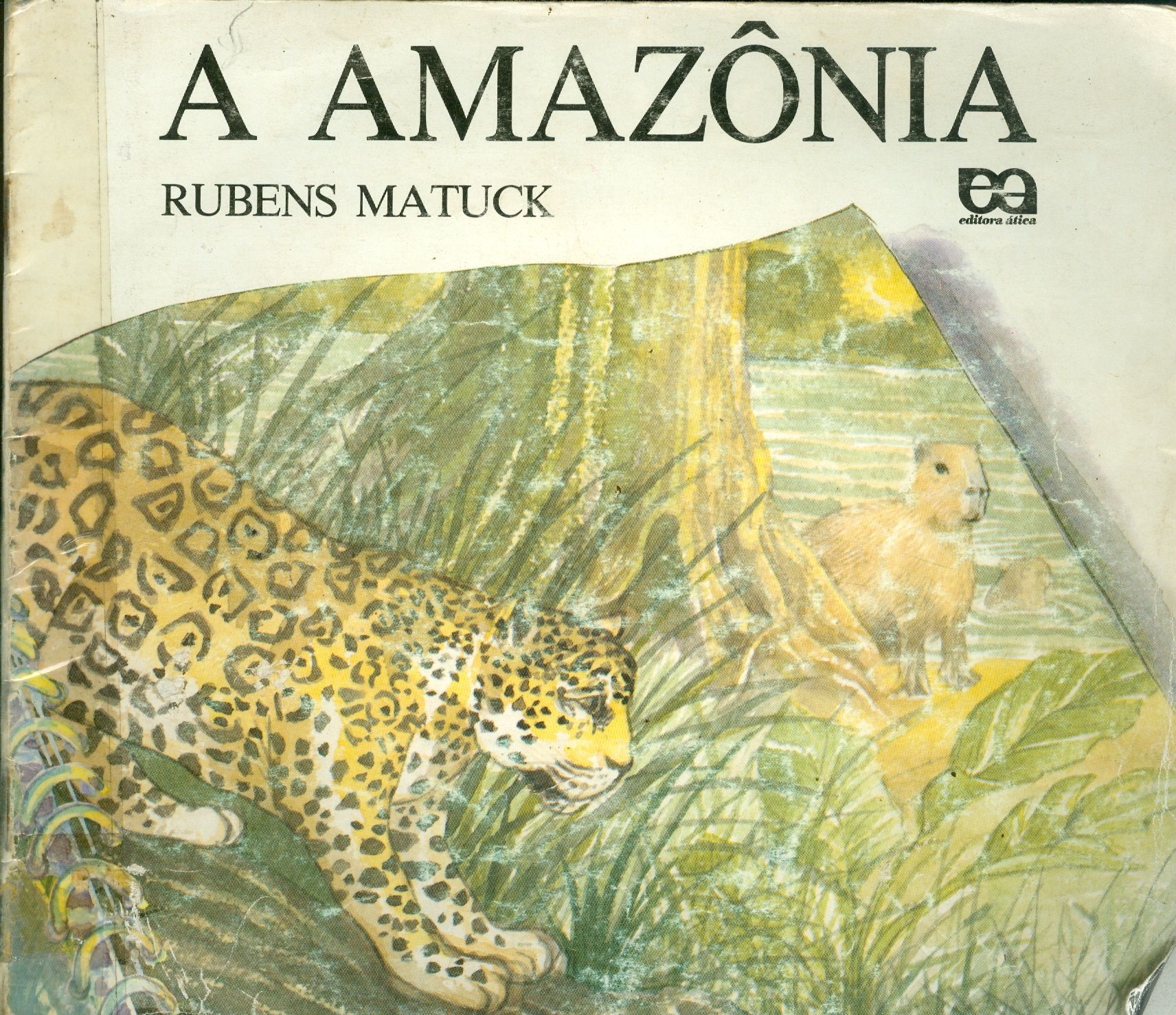 A AMAZÔNIA - COLEÇÃO