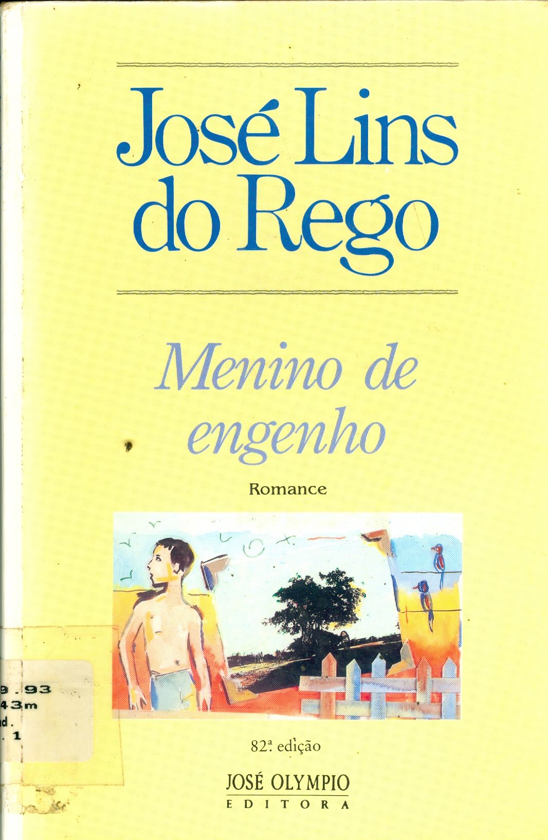 MENINO DE ENGENHO