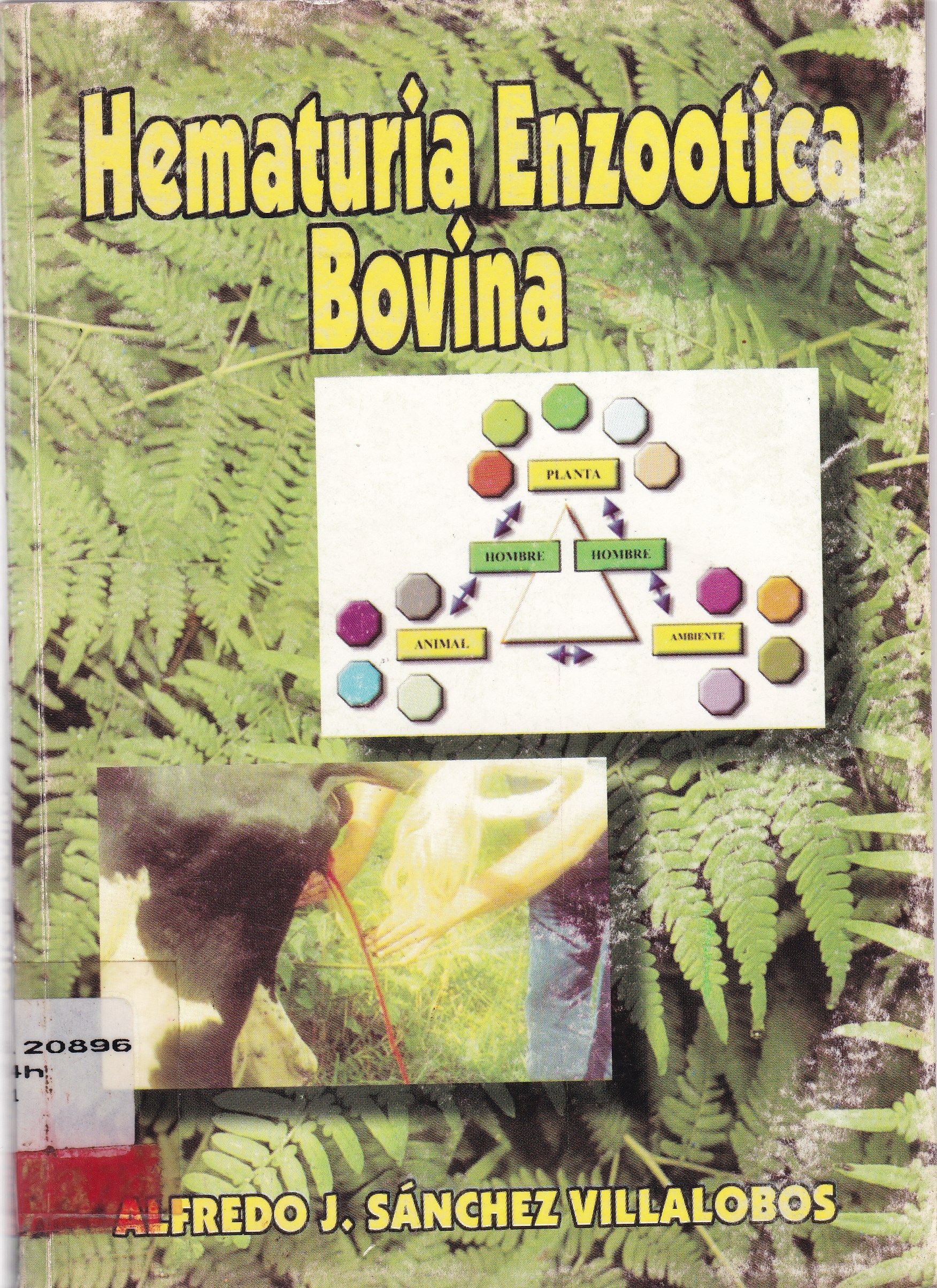 HEMATURIA ENZOOTICA BOVINA