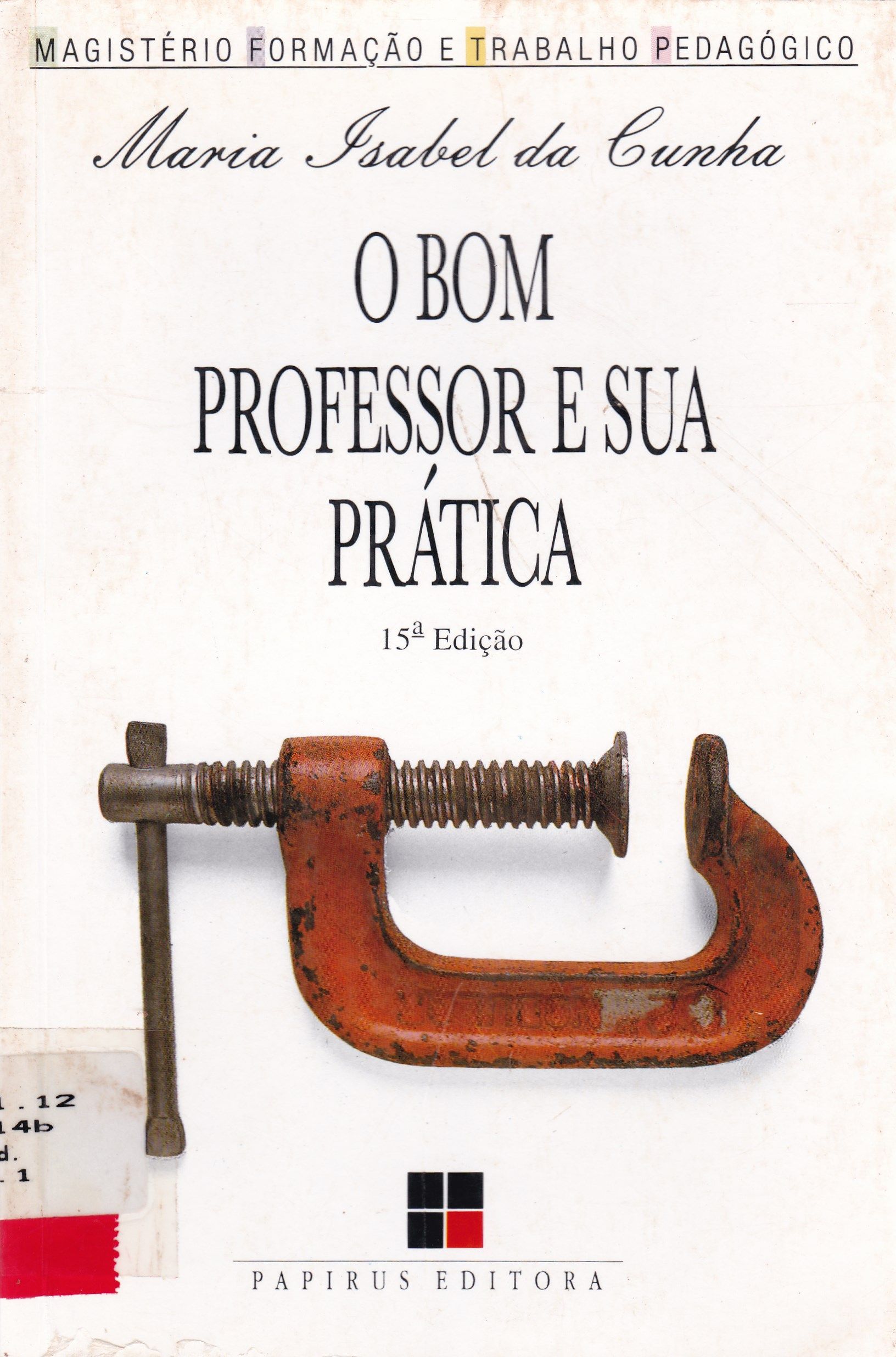 O BOM PROFESSOR E SUA PRÁTICA