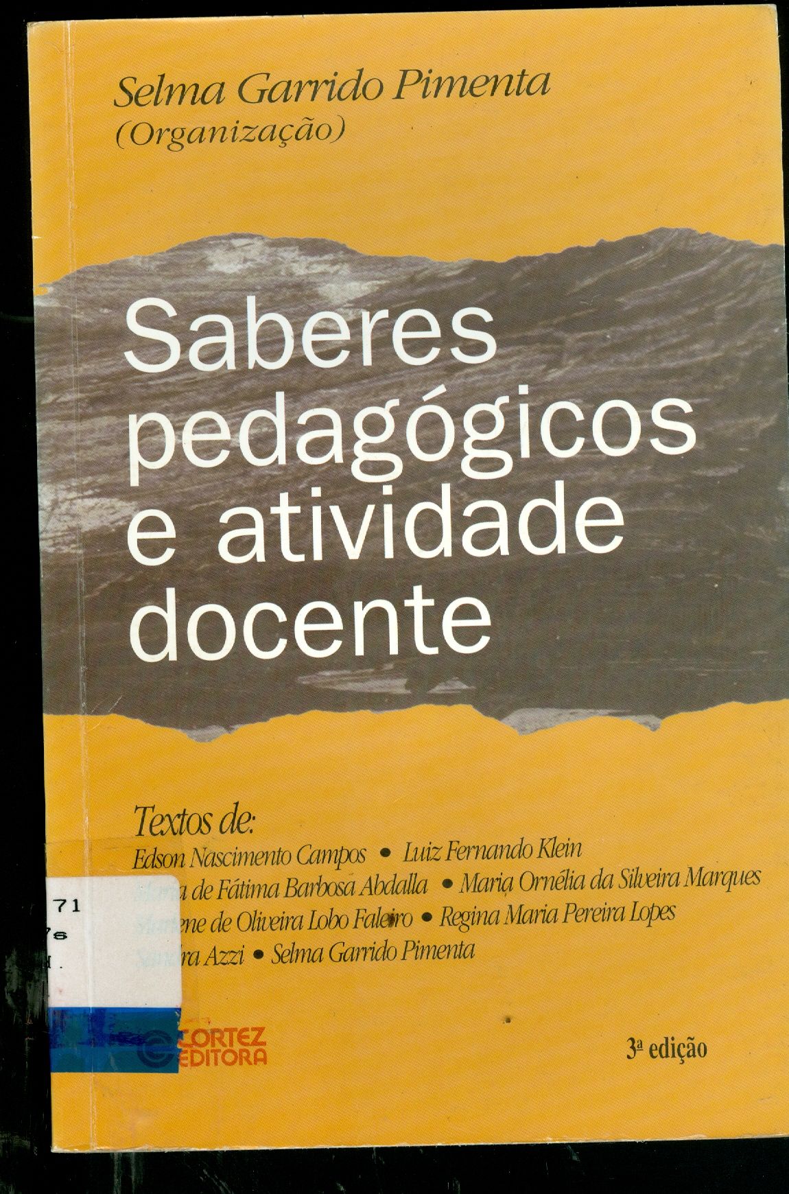 SABERES PEDAGÓGICOS E ATIVIDADE DOCENTE