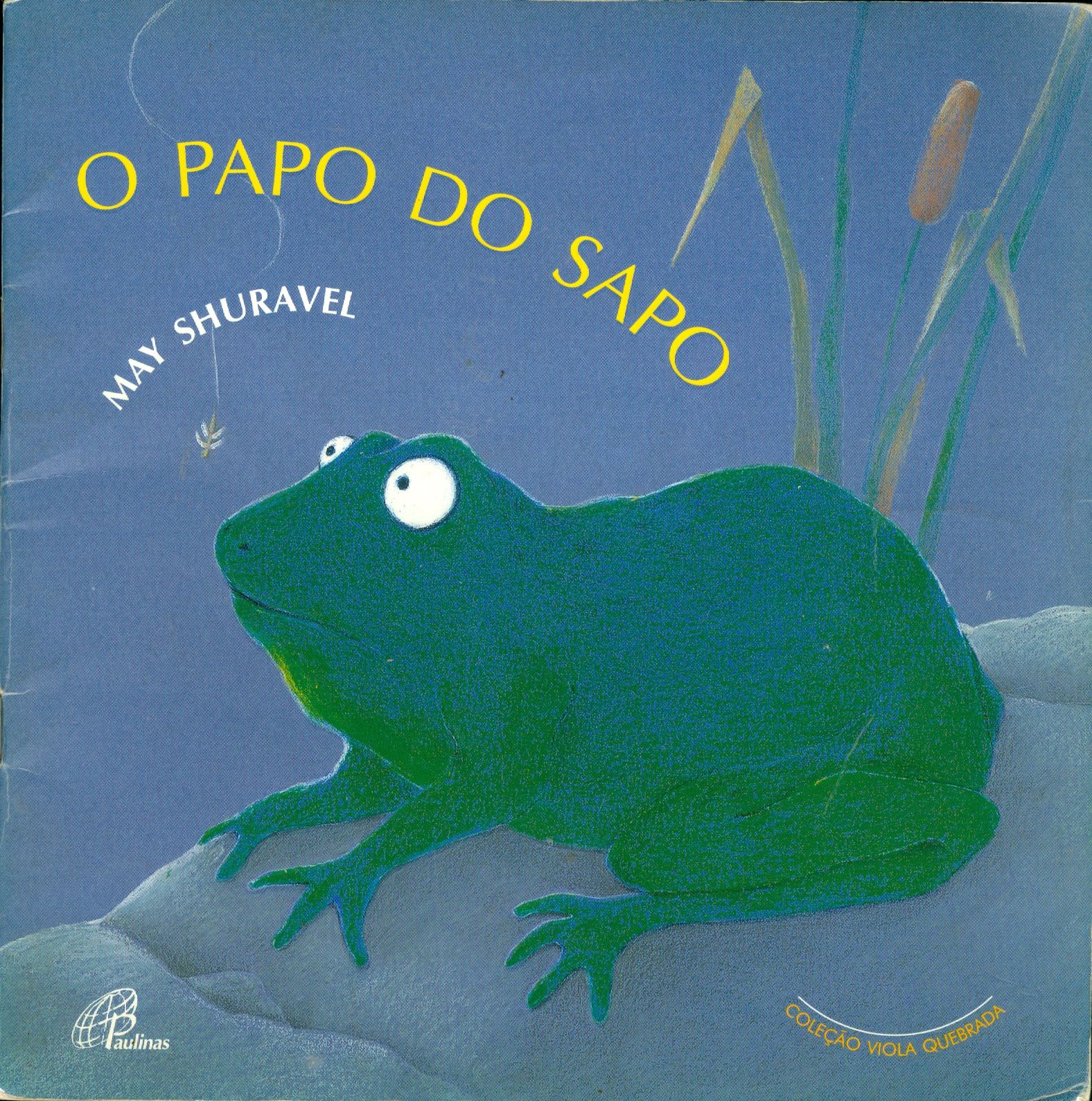 O PAPO DO SAPO