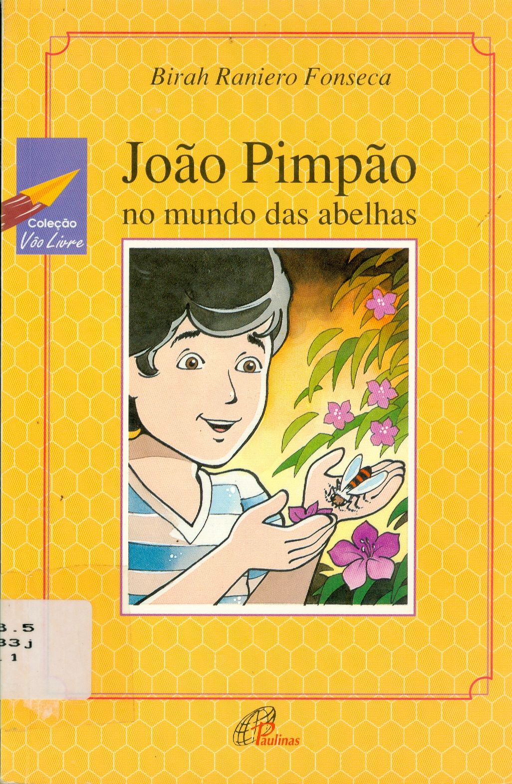 JOÃO PIMPÃO NO MUNDO DAS ABELHAS