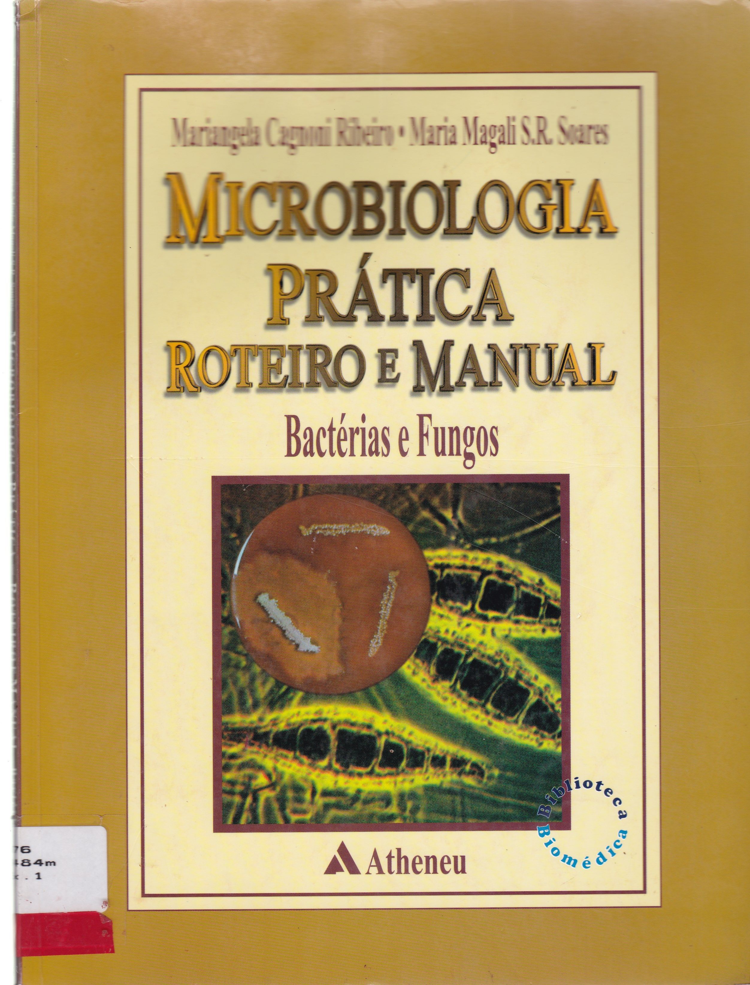 MICROBIOLOGIA PRÁTICA: ROTEIRO E MANUAL: BACTÉRIAS E FUNGOS