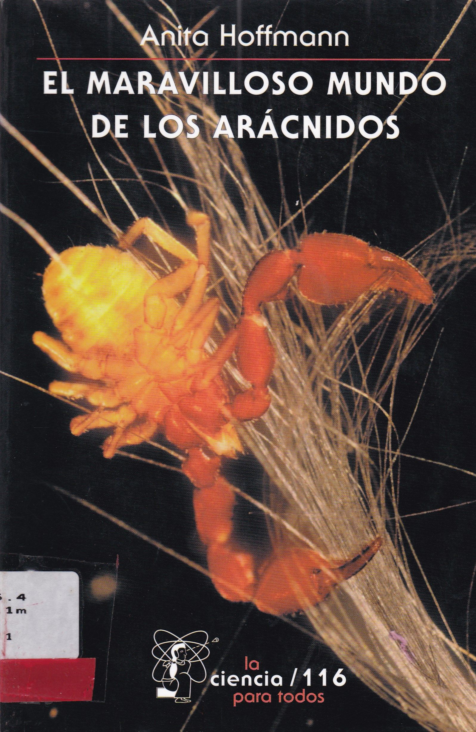 EL MARAVILHOSO MUNDO DE LOS ARACNIDOS 