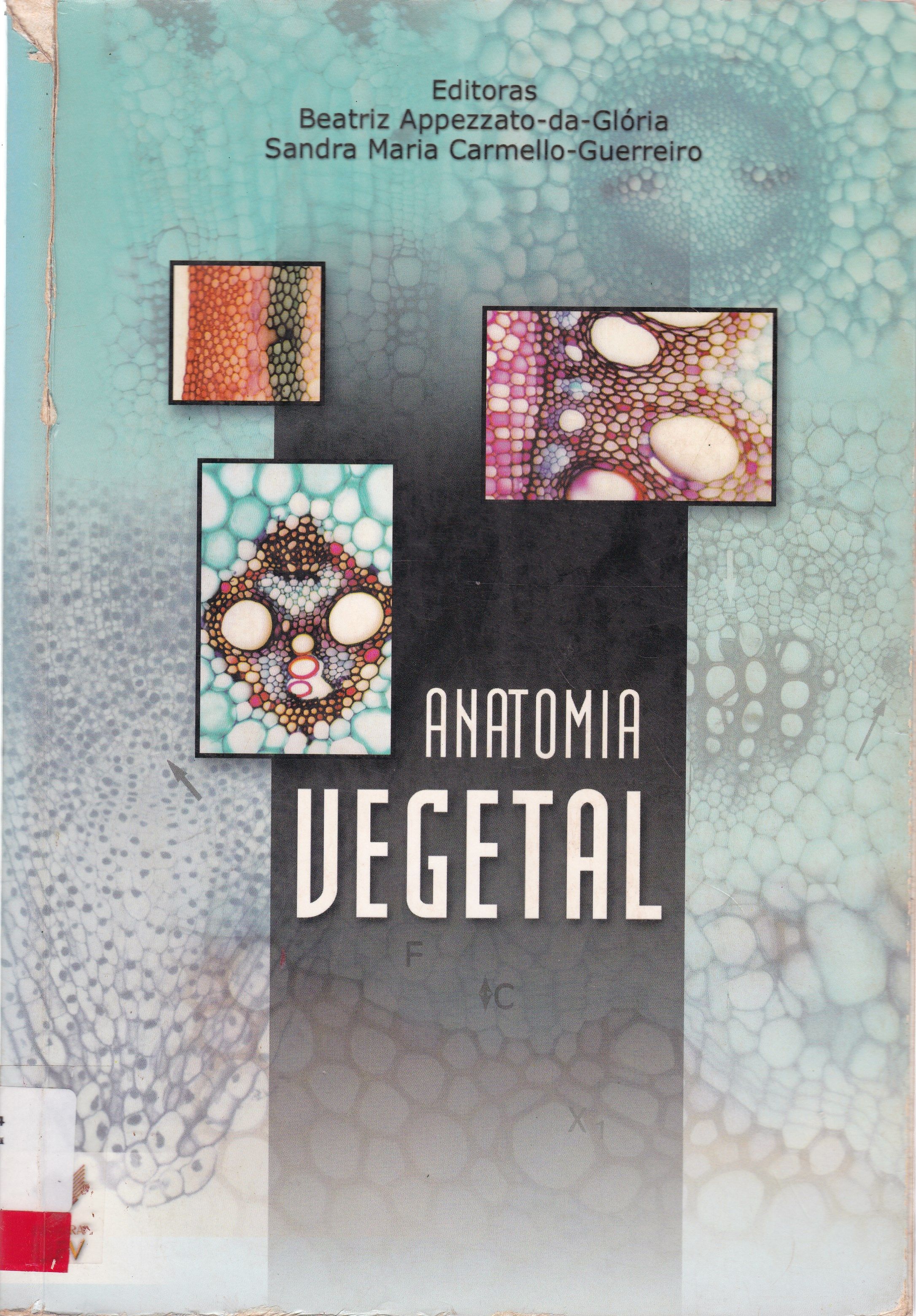 ANATOMIA VEGETAL