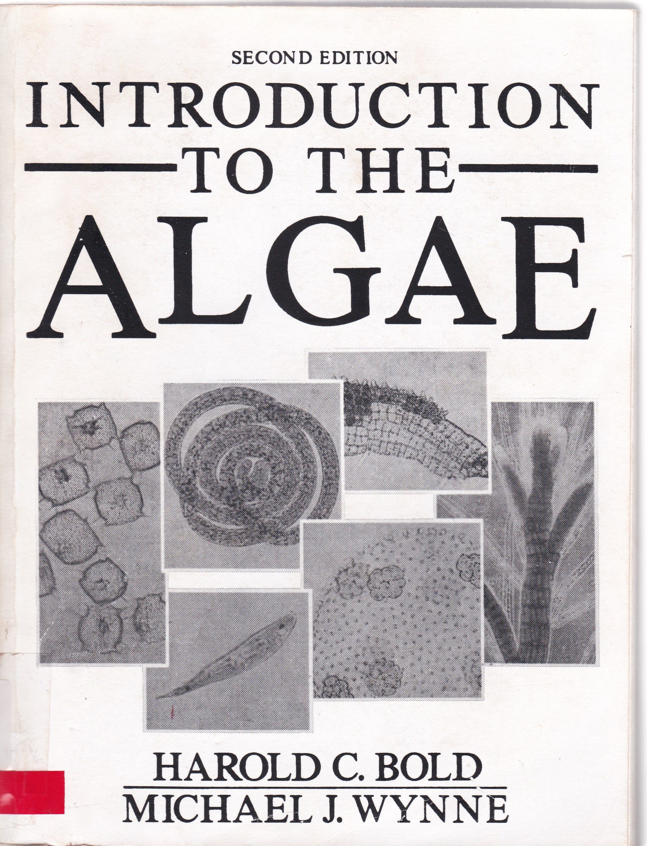 INTRODUCTION TO THE ALGAE: STRUCTURE REPRODUCTION 