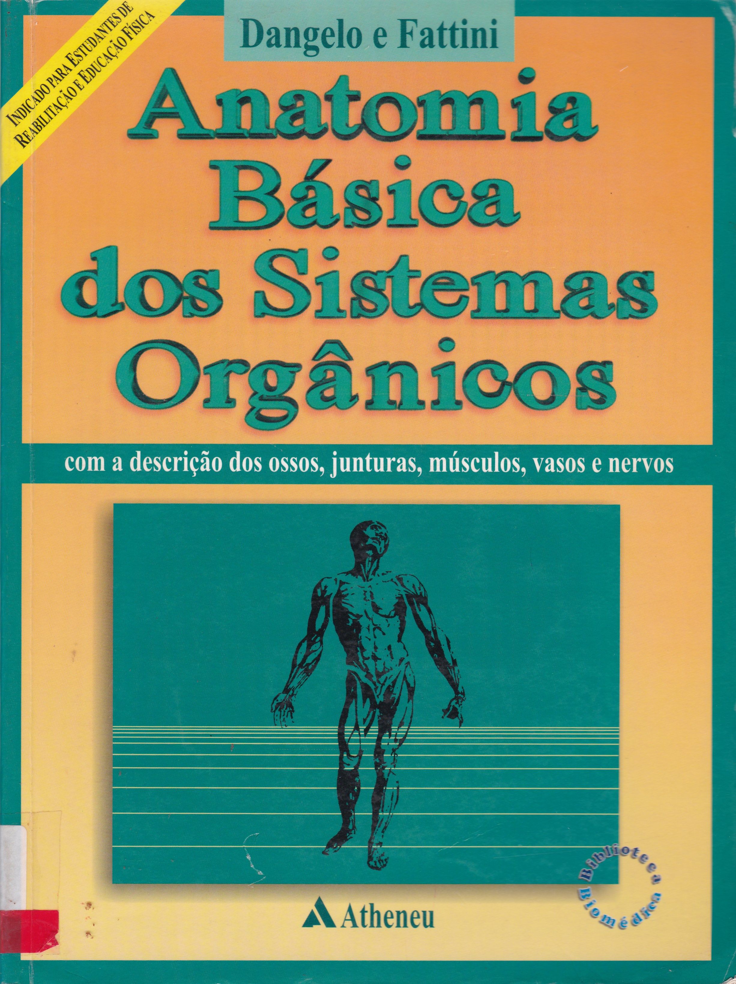 ANATOMIA BÁSICA DOS SISTEMAS ORGÂNICOS: COM A DESCRIÇÃO DOS OSSOS, JUNTURAS, MÚSCULOS, VASOS E NERVOS