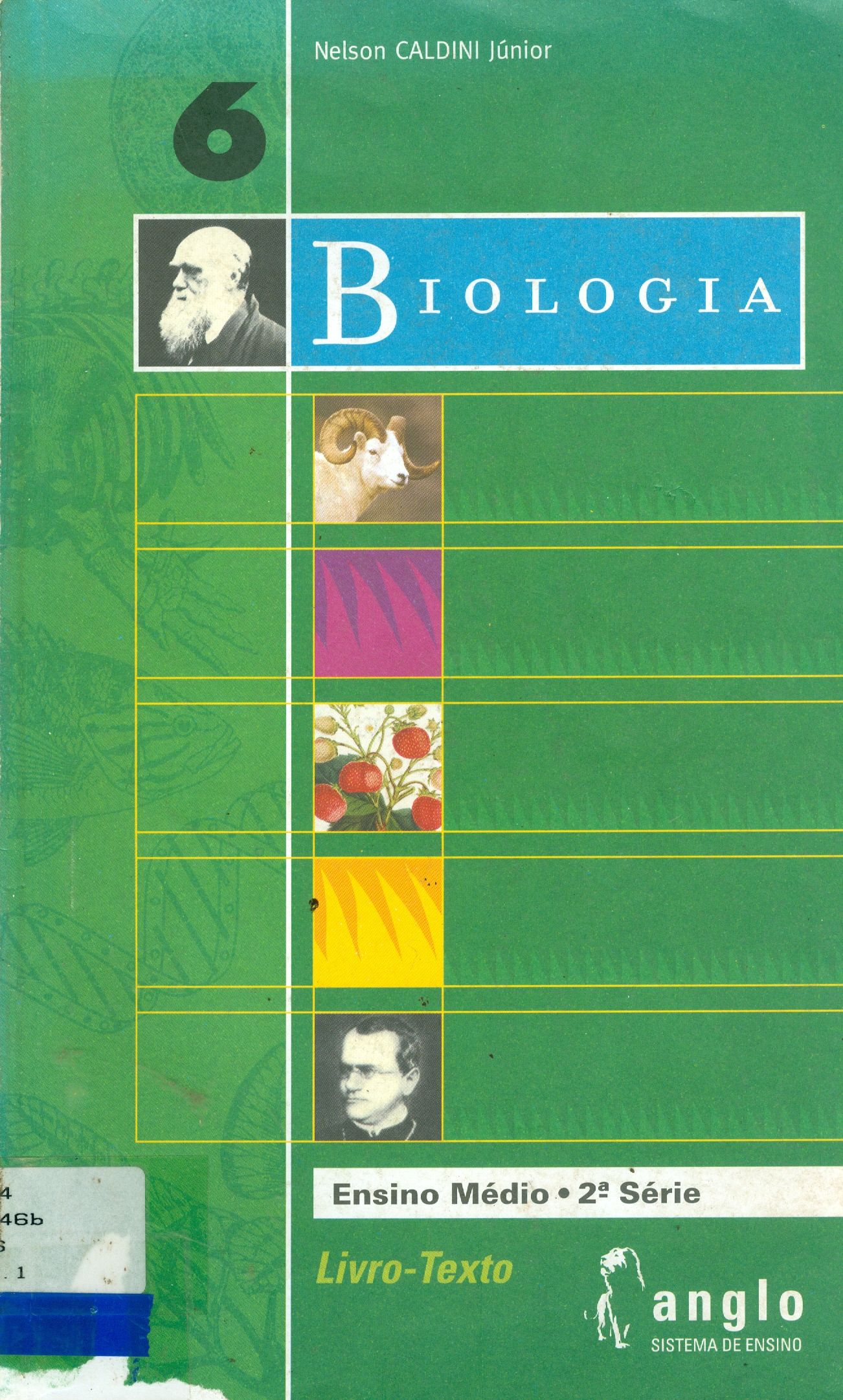 BIOLOGIA V. 6