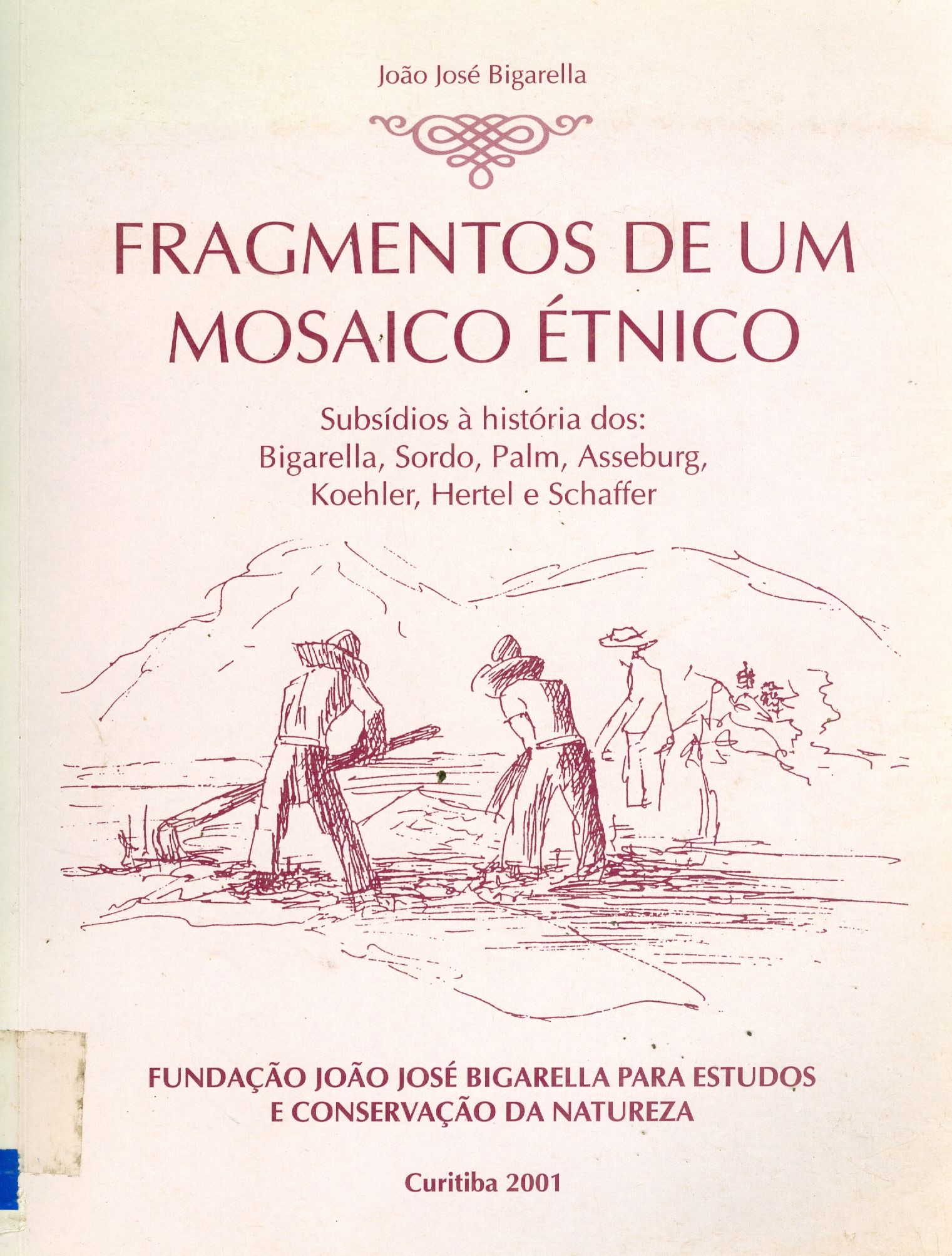 FRAGMENTOS DE UM MOSAICO ÉTNICO: SUBSÍDIOS A HISTÓRIA DOS: BIGARELLA, SORDO, PALM, ASSEBURG, KOEHLER, HELTER E SCHAFFER