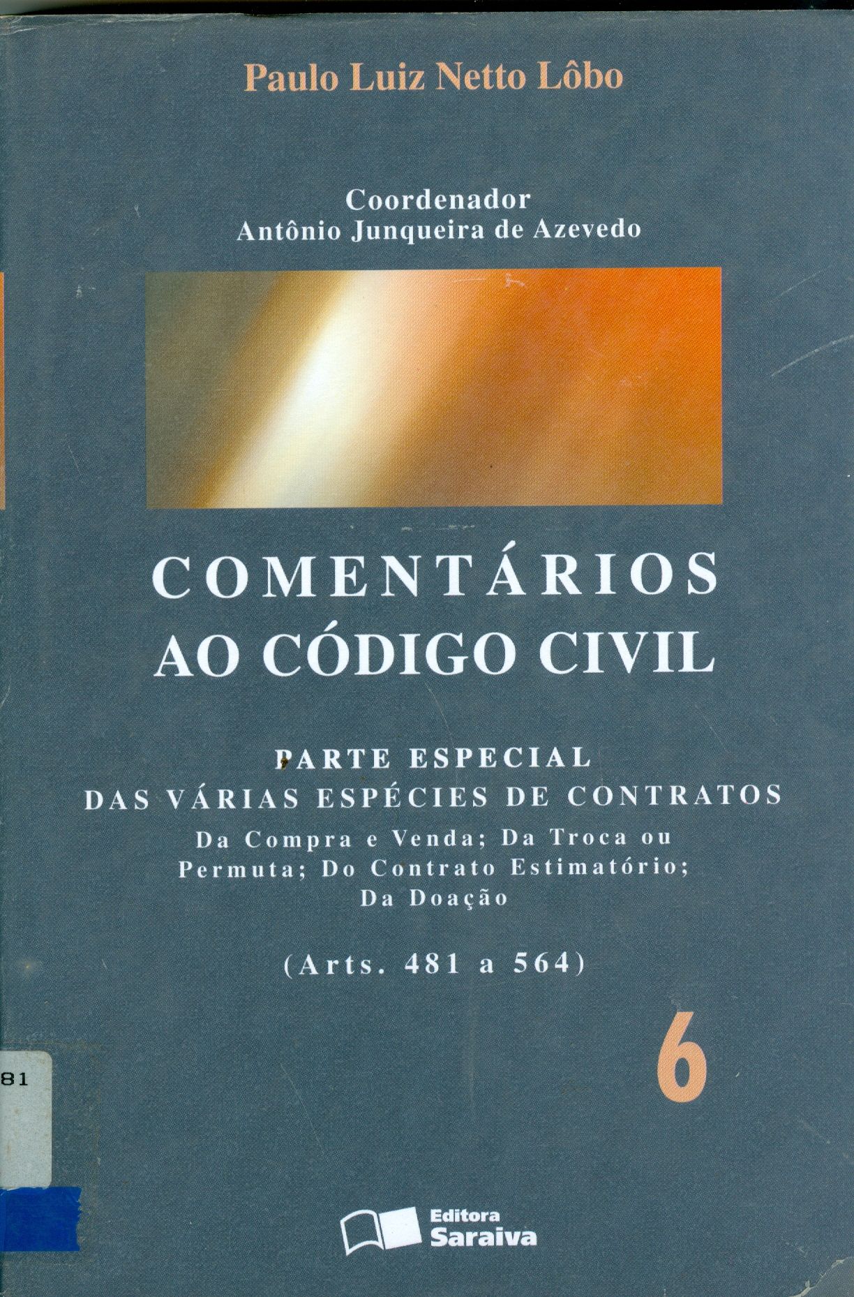 COMENTÁRIOS AO CÓDIGO CIVIL: PARTE ESPECIAL V. 6