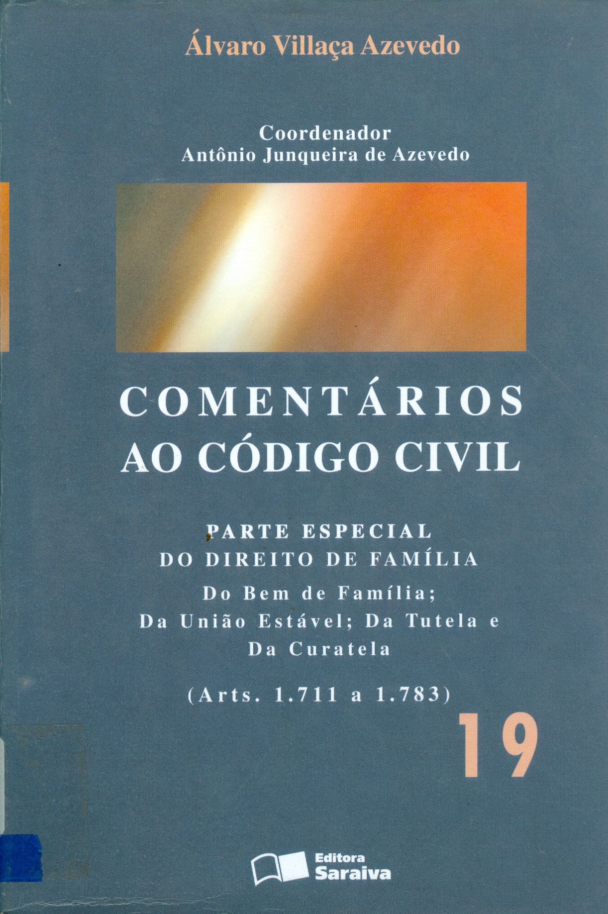 COMENTÁRIOS AO CÓDIGO CIVIL: PARTE ESPECIAL V. 19