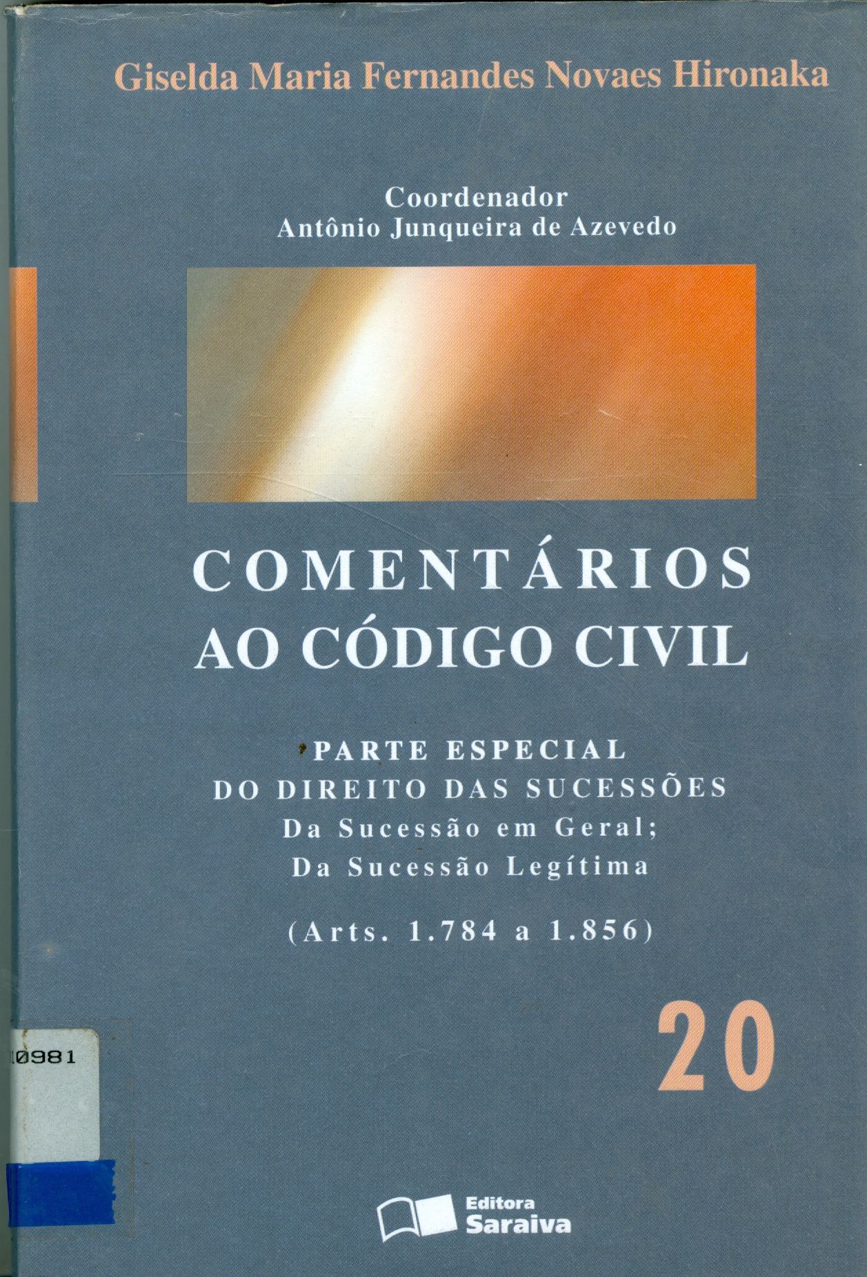 COMENTÁRIOS AO CÓDIGO CIVIL: PARTE ESPECIAL V. 20