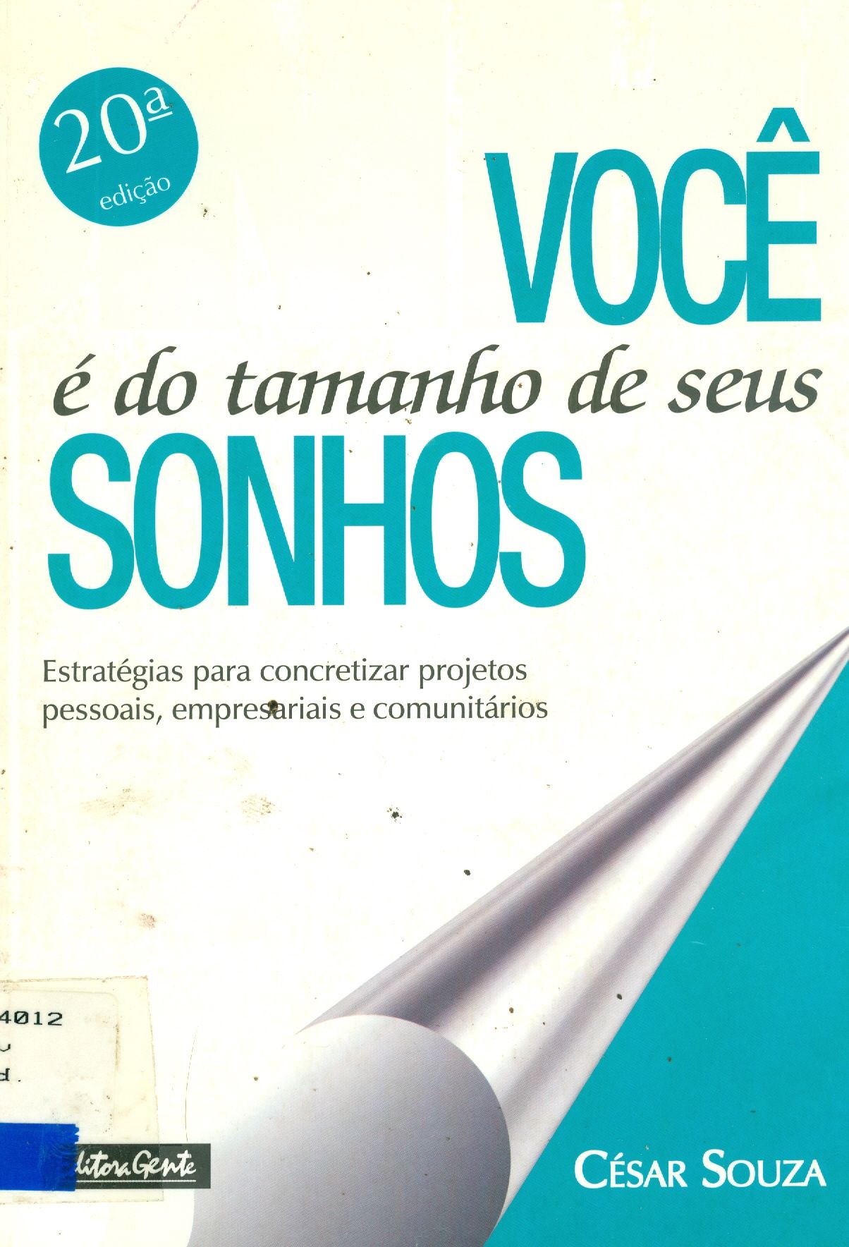 VOCÊ É DO TAMANHO DE SEUS SONHOS: ESTRATÉGIAS PARA CONCRETIZAR PROJETOS PESSOAIS, EMPRESARIAIS E COMUNITÁRIOS