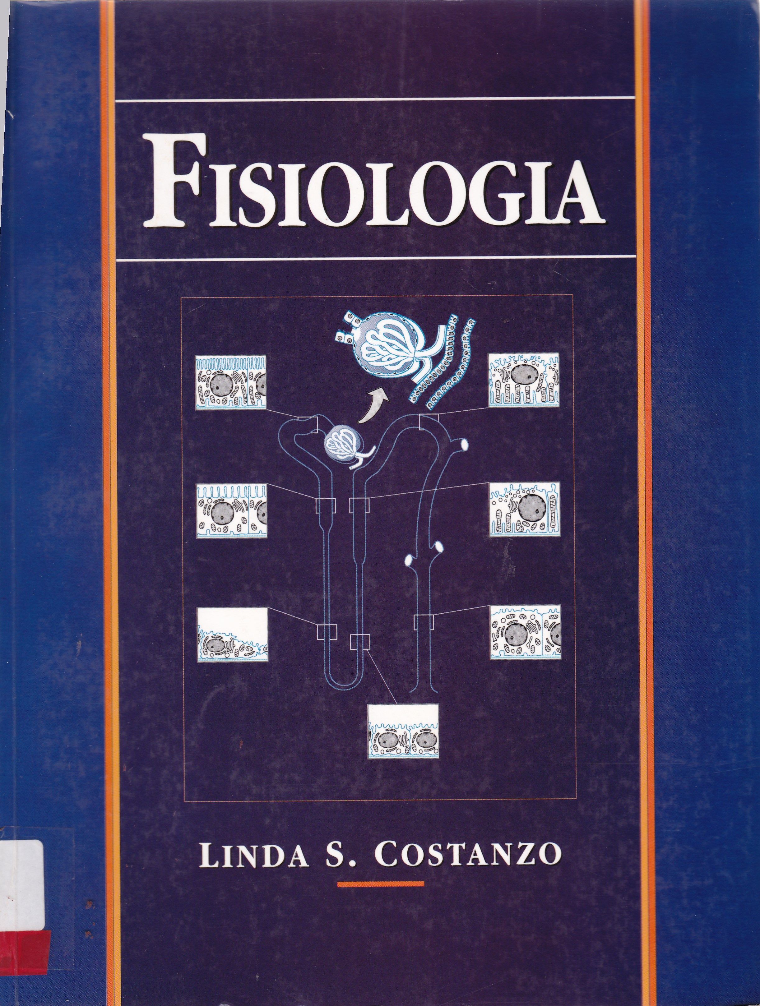 FISIOLOGIA