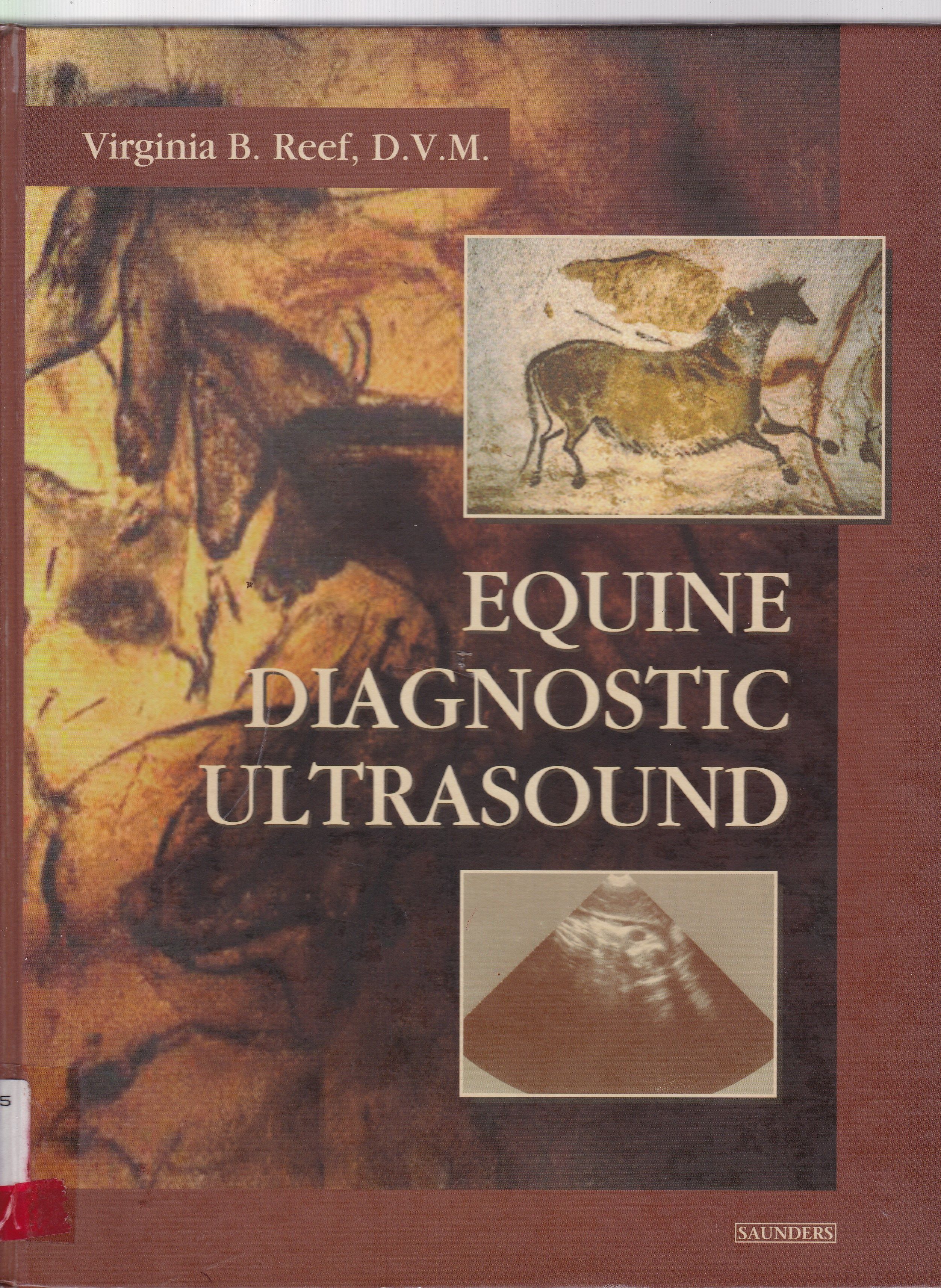 EQUINE DIAGNOSTIC ULTRASOUND