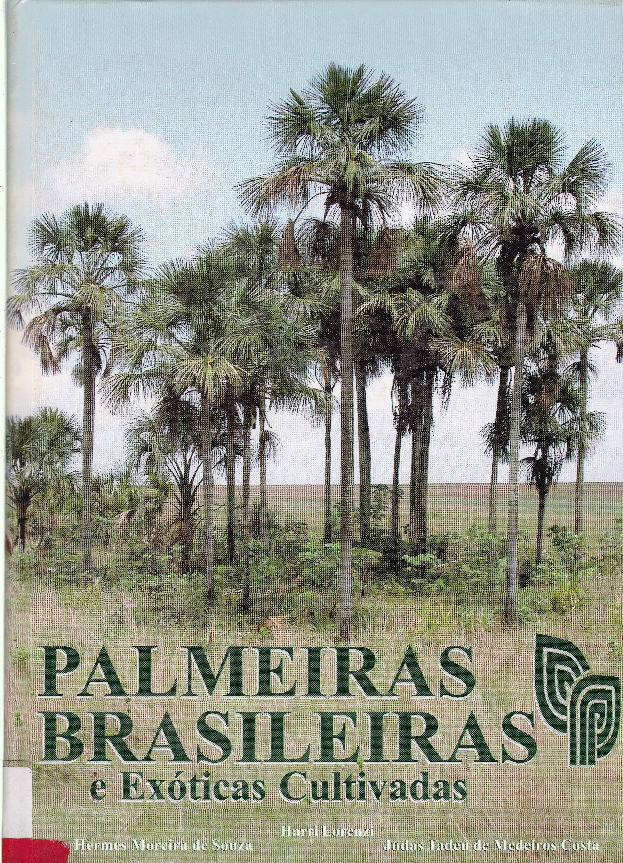 PALMEIRAS BRASILEIRAS E EXÓTICAS CULTIVADAS