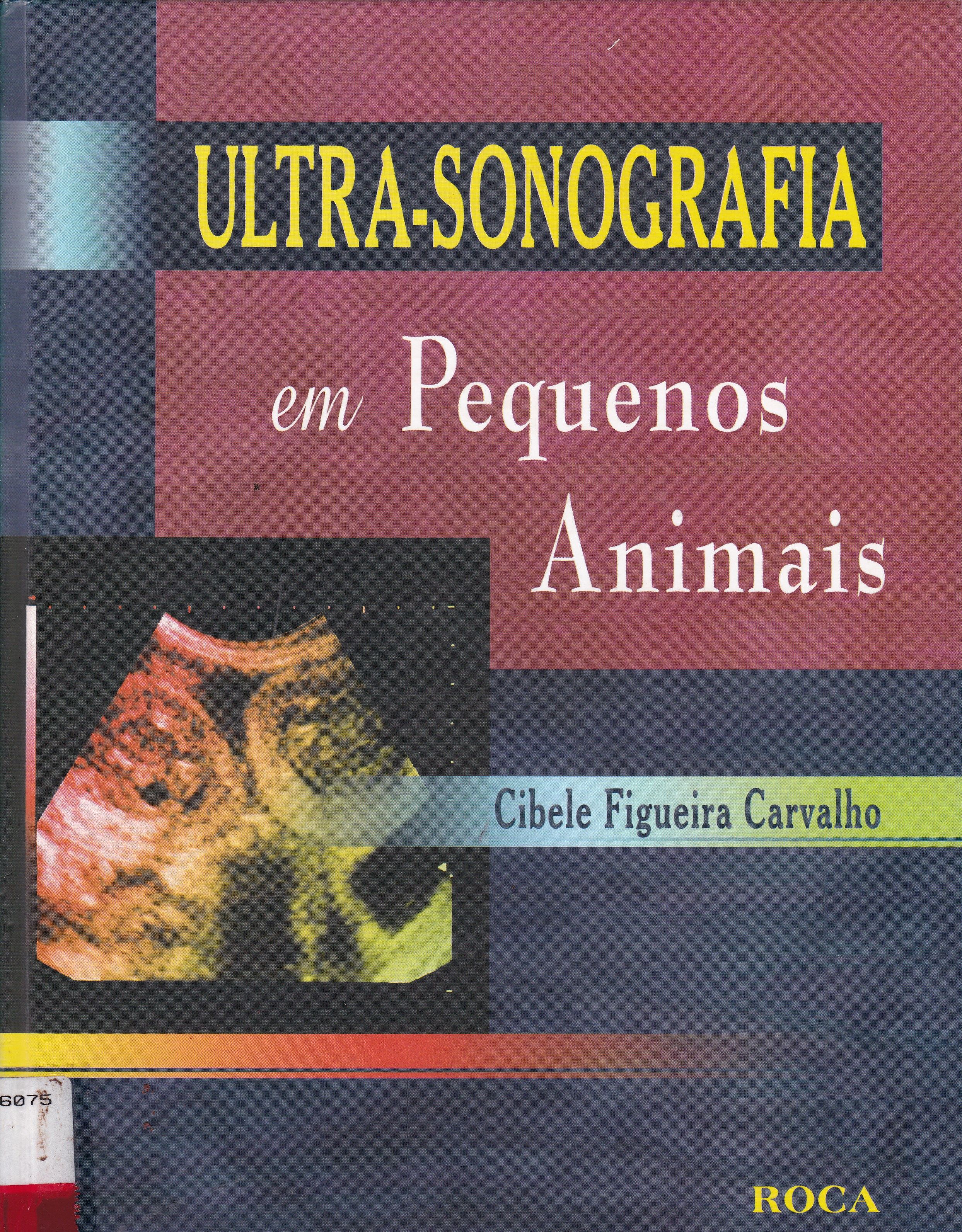 ULTRA-SONOGRAFIA EM PEQUENOS ANIMAIS