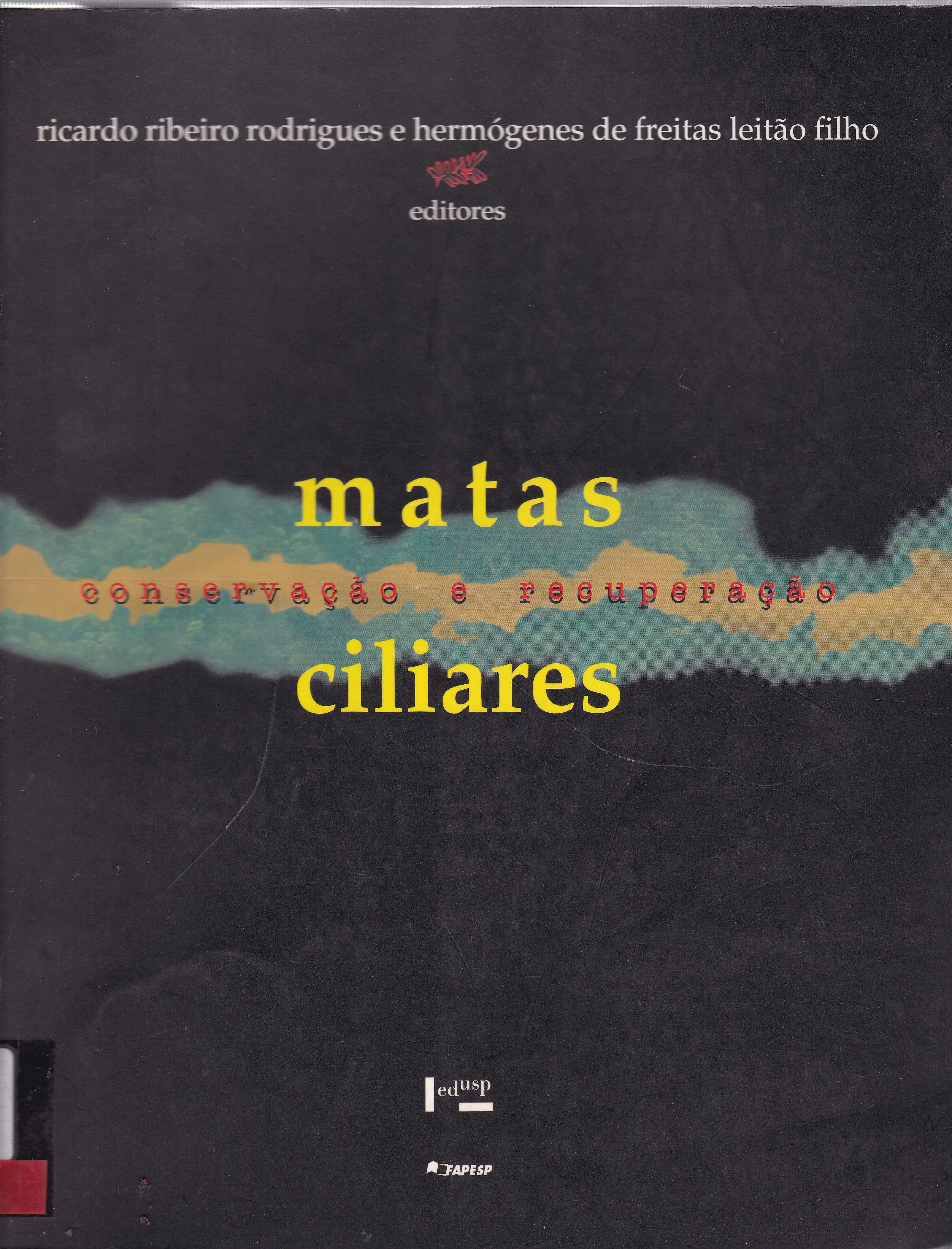 MATAS CILIARES: CONSERVAÇÃO E RECUPERAÇÃO 