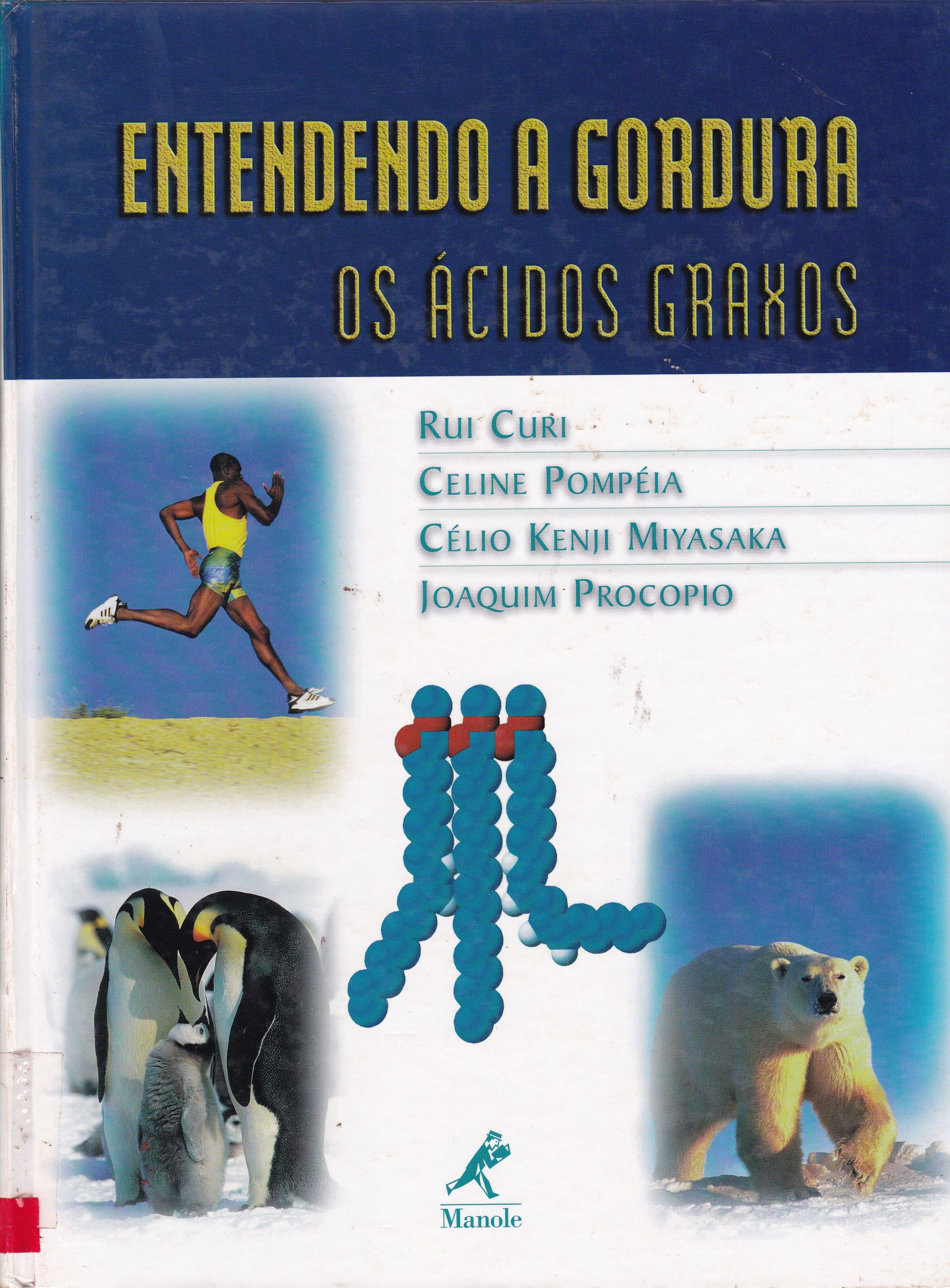 ENTENDENDO A GORDURA: OS ÁCIDOS GRAXOS