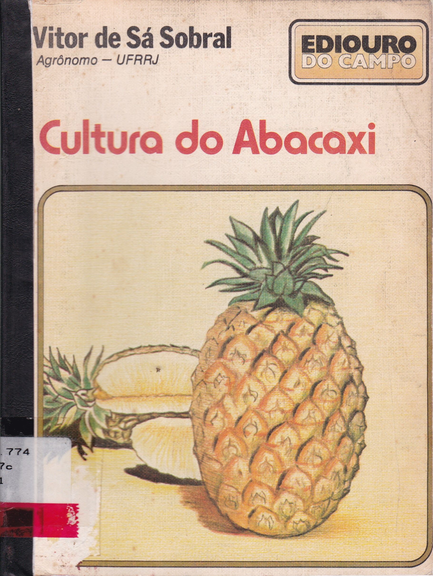 CULTURA DO ABACAXI